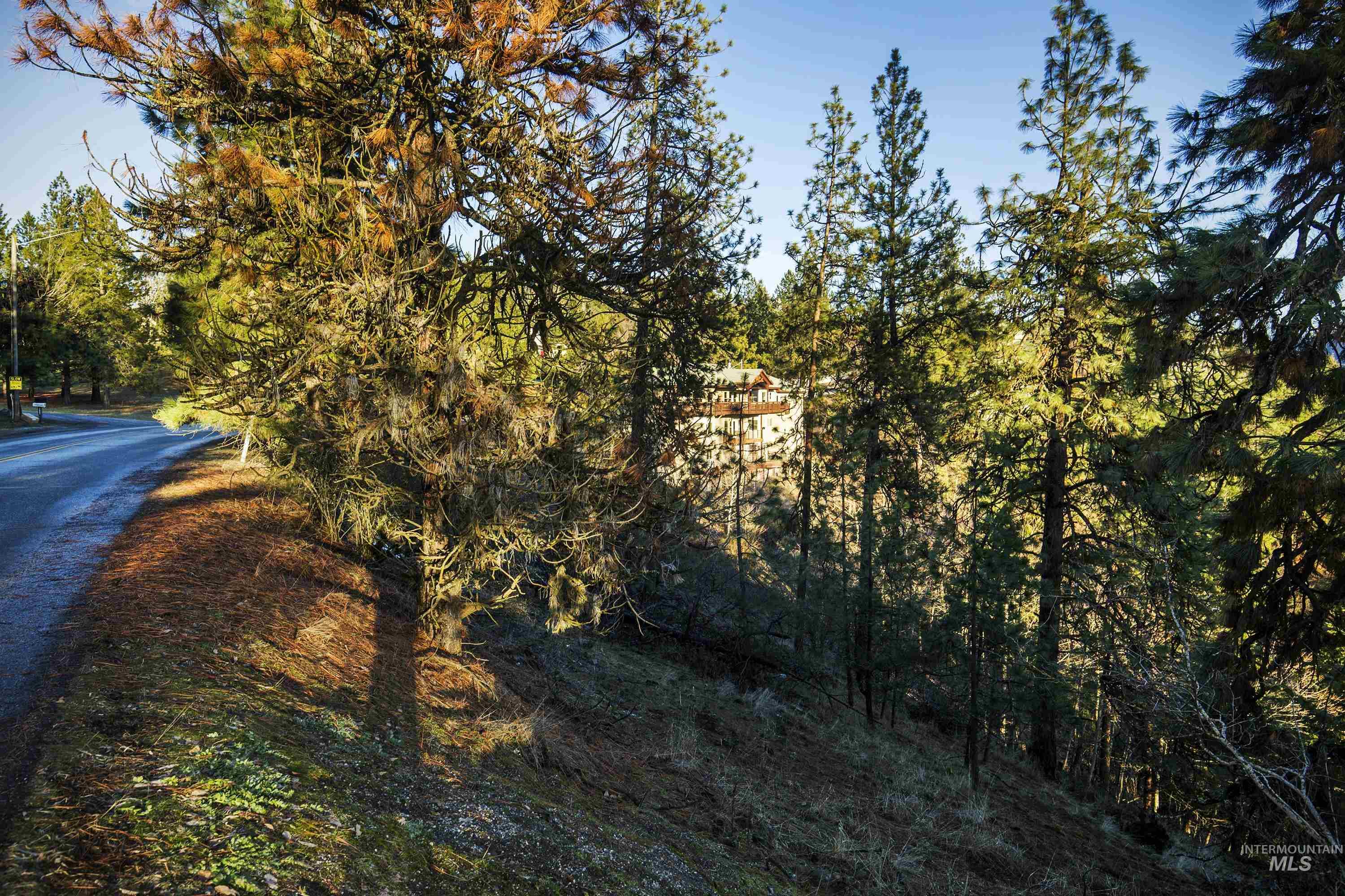NNA E Fernan Hill Rd., Coeur d'Alene, Idaho 83814-0000, Land For Sale, Price $249,000, 98941225