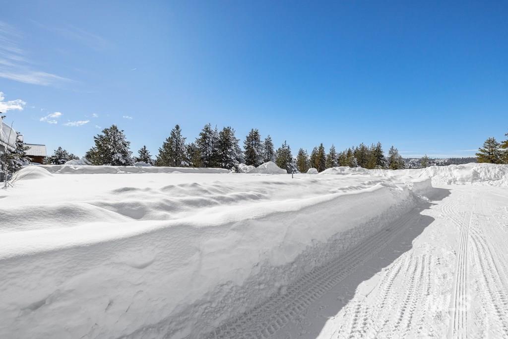 110 Bighorn Court, McCall, Idaho 83638-9999, Land For Sale, Price $205,000, 98941235