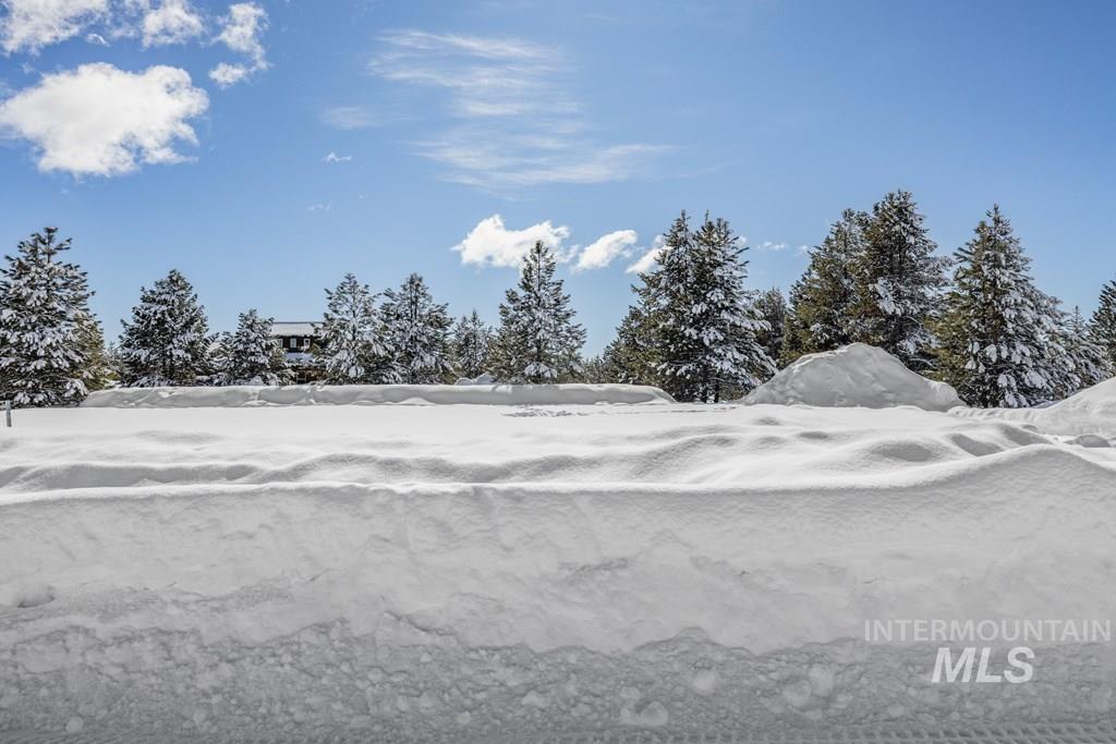 110 Bighorn Court, McCall, Idaho 83638-9999, Land For Sale, Price $205,000, 98941235