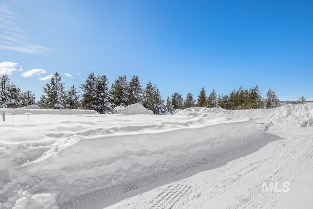 110 Bighorn Court, McCall, Idaho 83638-9999, Land For Sale, Price $205,000, 98941235