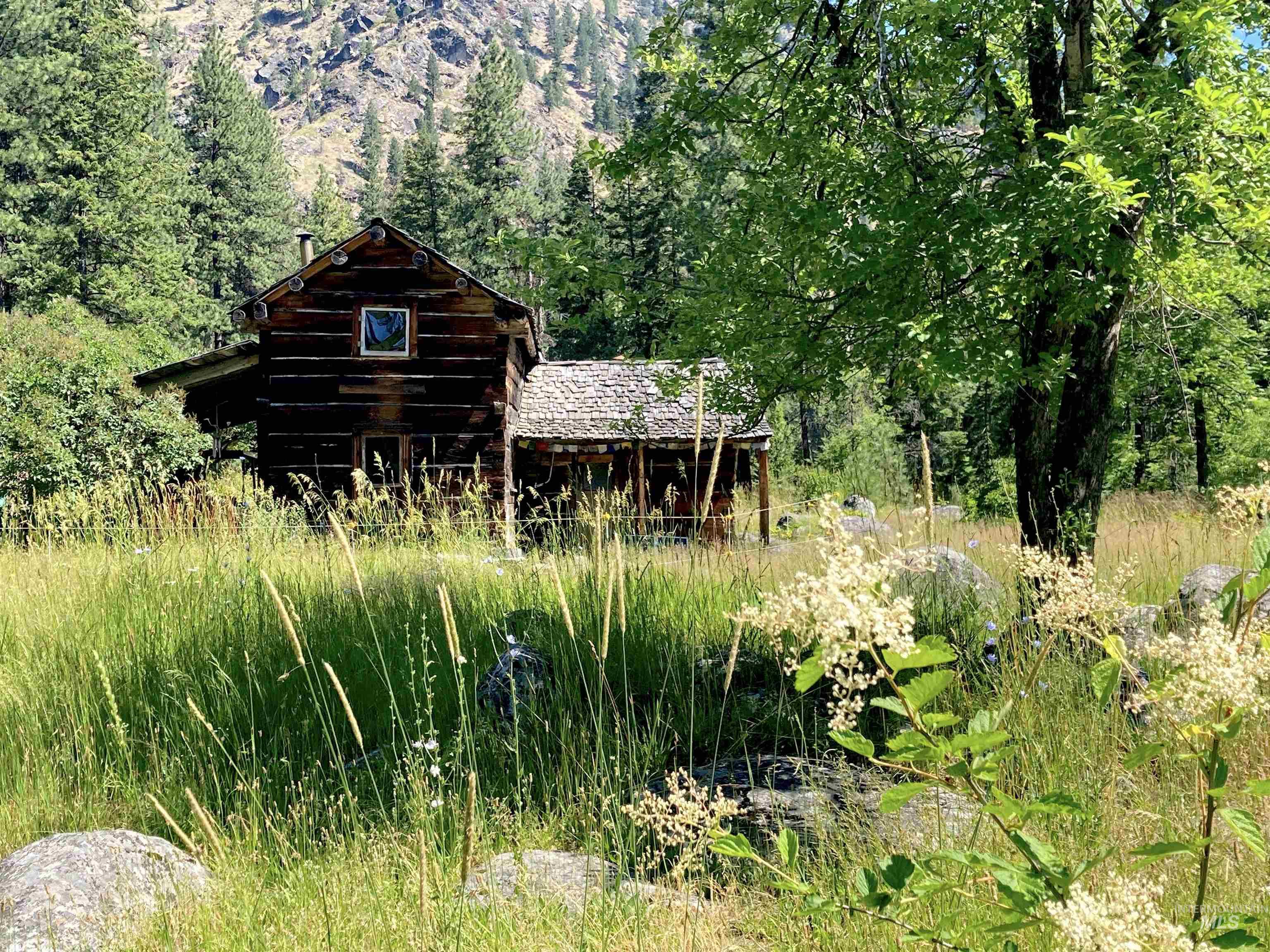 3869 Big Salmon River Rd, Riggins, Idaho 83549, 1 Bedroom, Farm & Ranch For Sale, Price $1,100,000, 98941259