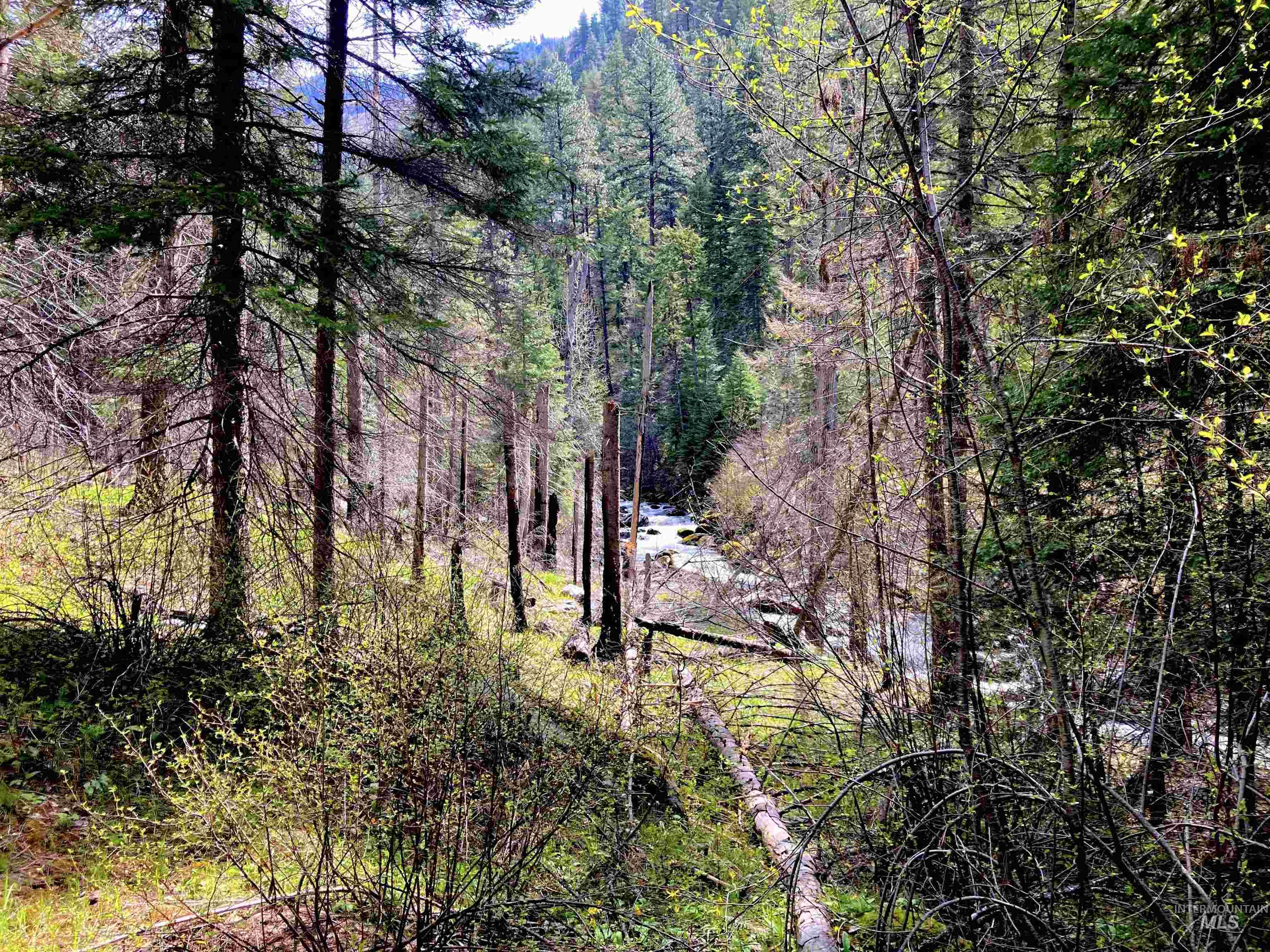 3869 Big Salmon River Rd, Riggins, Idaho 83549, 1 Bedroom, Farm & Ranch For Sale, Price $1,100,000, 98941259