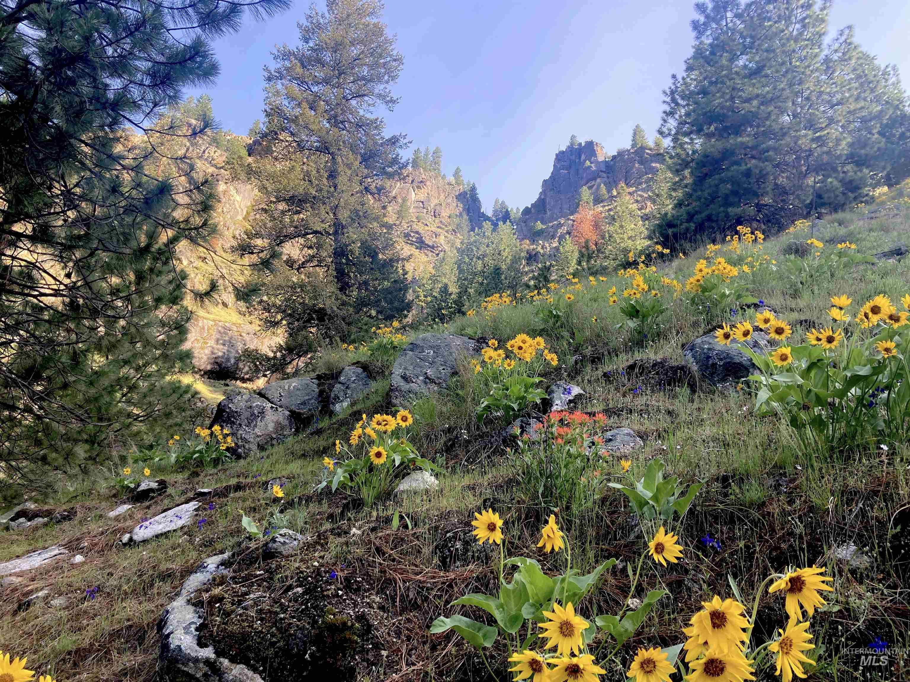 3869 Big Salmon River Rd, Riggins, Idaho 83549, 1 Bedroom, Farm & Ranch For Sale, Price $1,100,000, 98941259