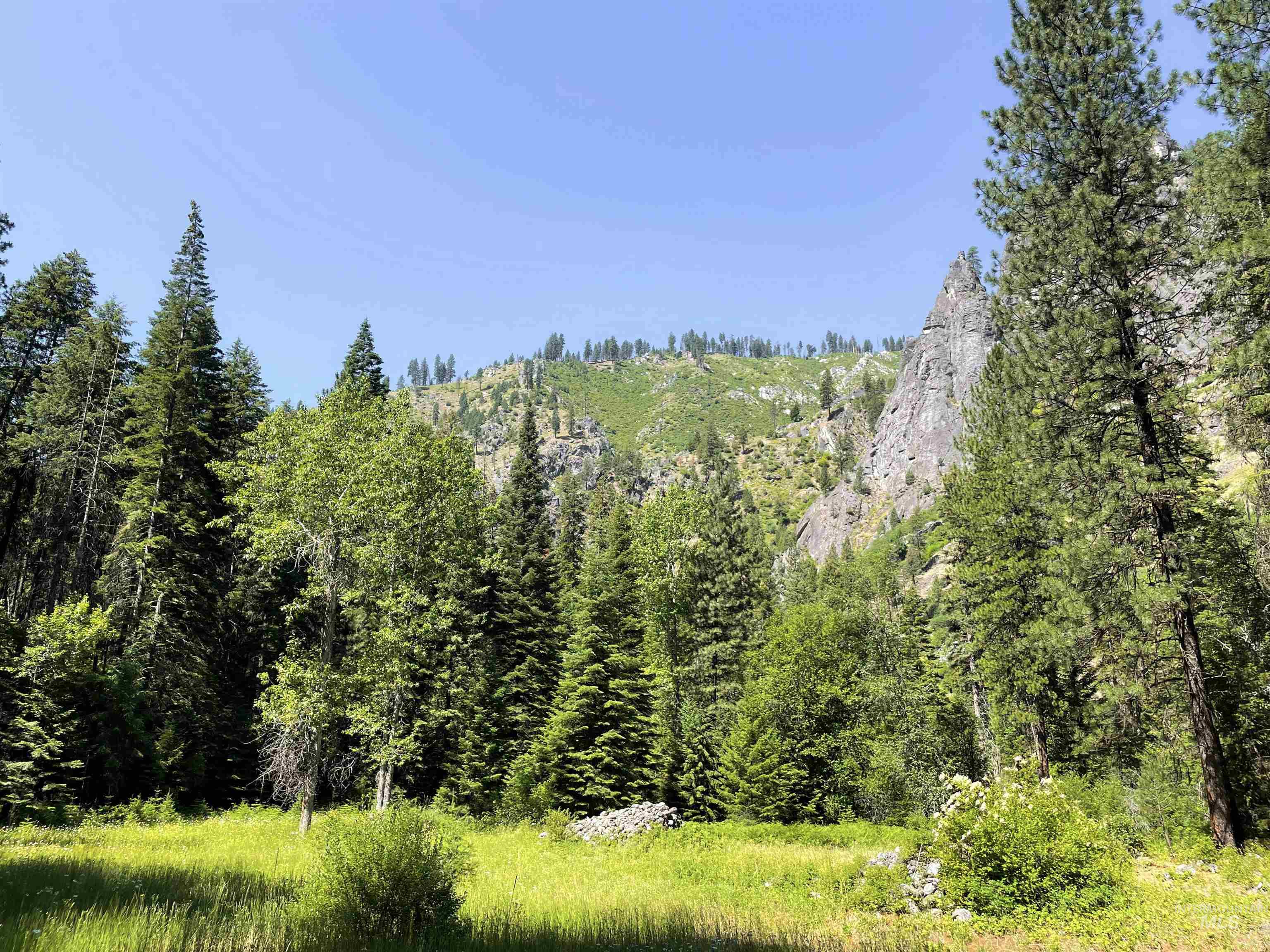 3869 Big Salmon River Rd, Riggins, Idaho 83549, 1 Bedroom, Farm & Ranch For Sale, Price $1,100,000, 98941259