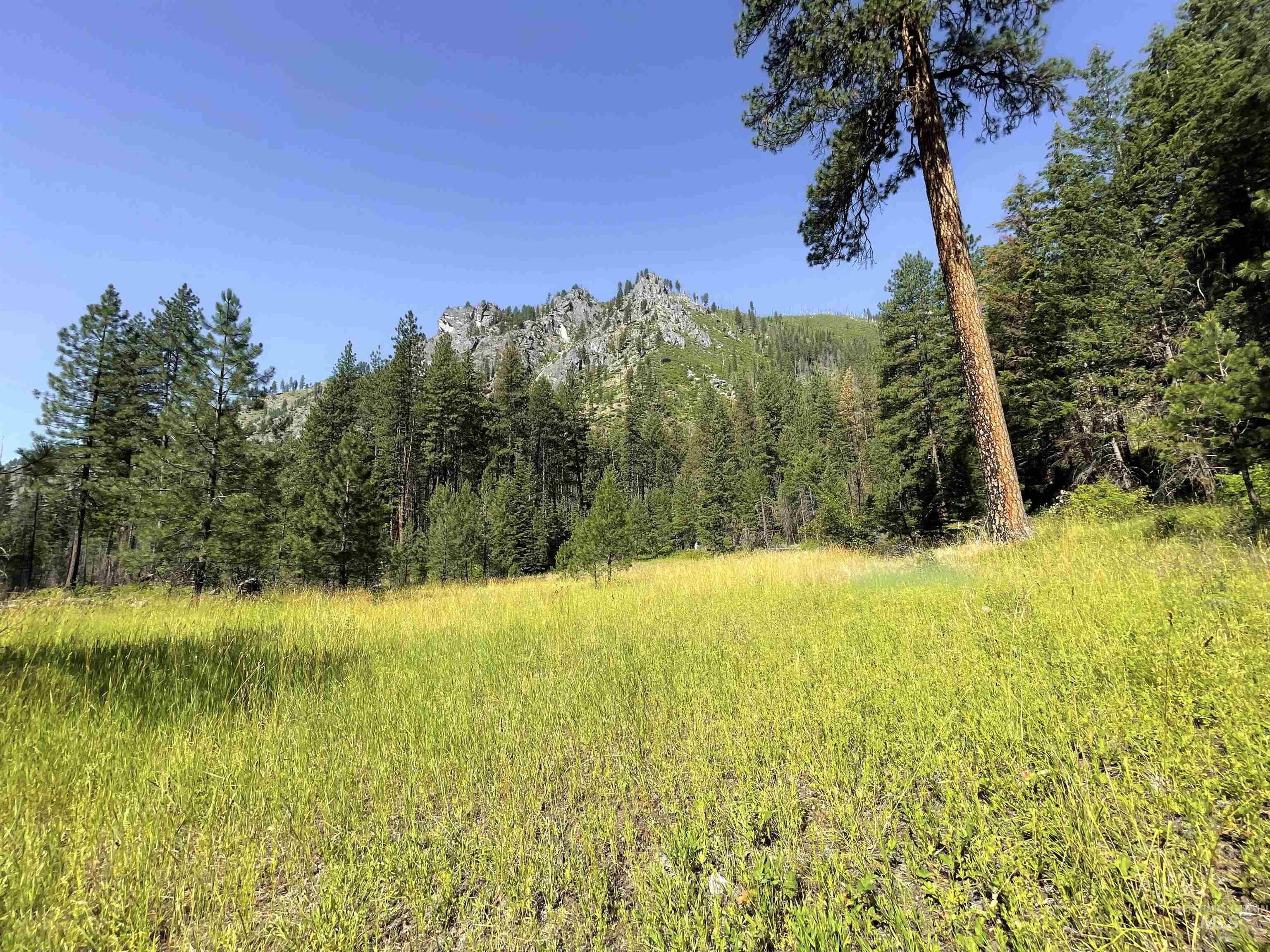 3869 Big Salmon River Rd, Riggins, Idaho 83549, 1 Bedroom, Farm & Ranch For Sale, Price $1,100,000, 98941259