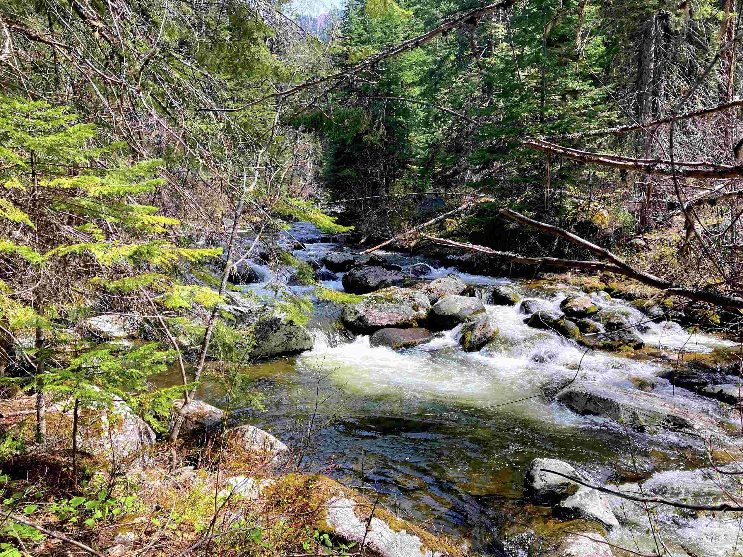 3869 Big Salmon River Rd, Riggins, Idaho 83549, 1 Bedroom, Farm & Ranch For Sale, Price $1,100,000, 98941259