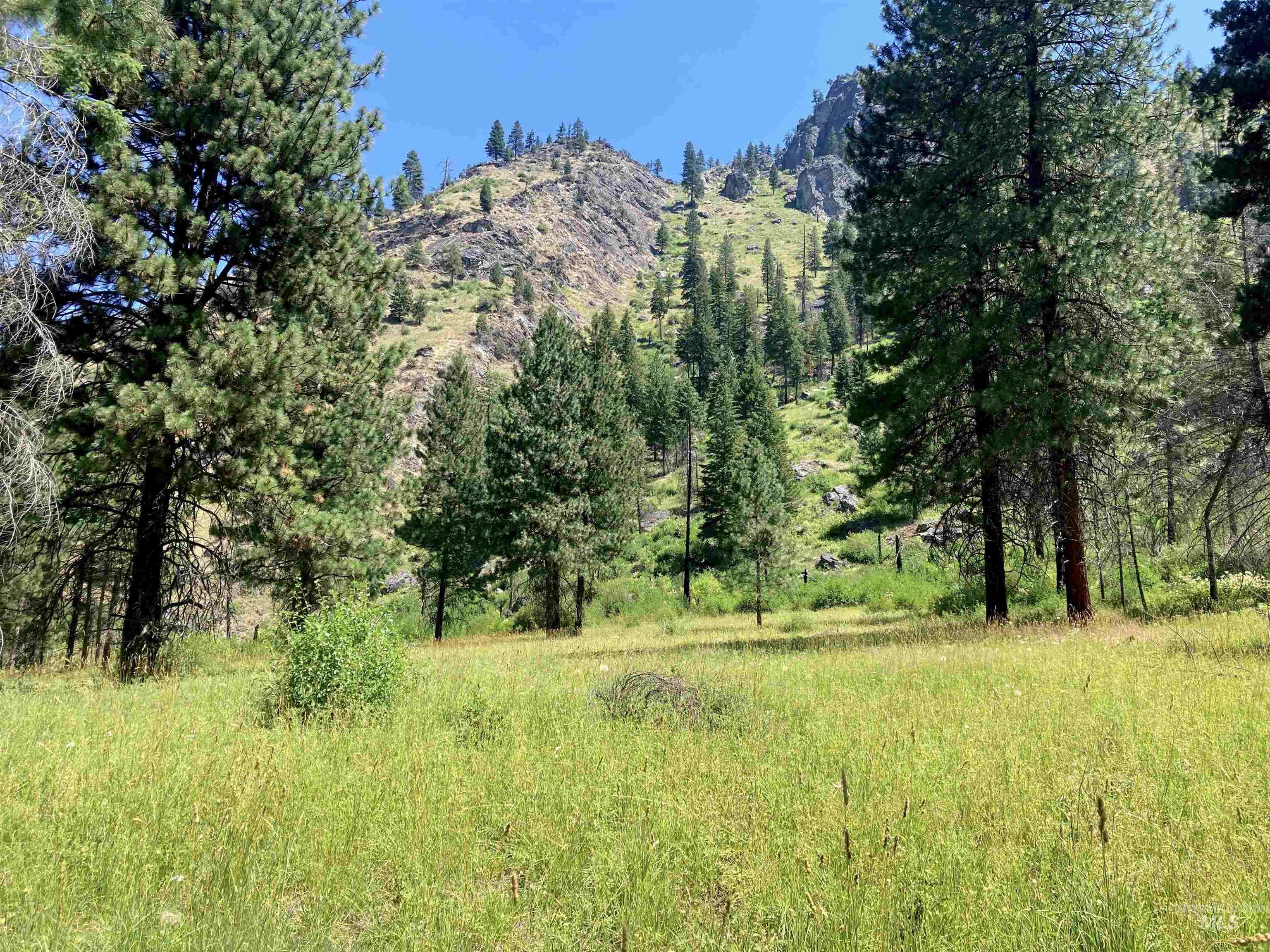 3869 Big Salmon River Rd, Riggins, Idaho 83549, 1 Bedroom, Farm & Ranch For Sale, Price $1,100,000, 98941259