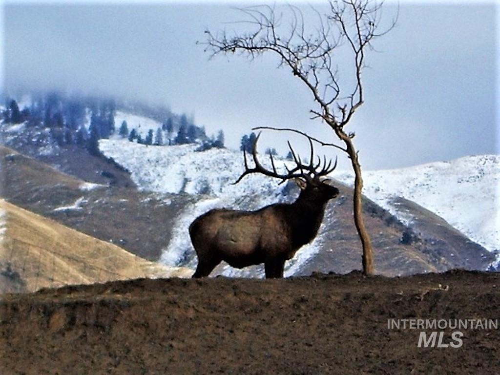 3869 Big Salmon River Rd, Riggins, Idaho 83549, 1 Bedroom, Farm & Ranch For Sale, Price $1,100,000, 98941259