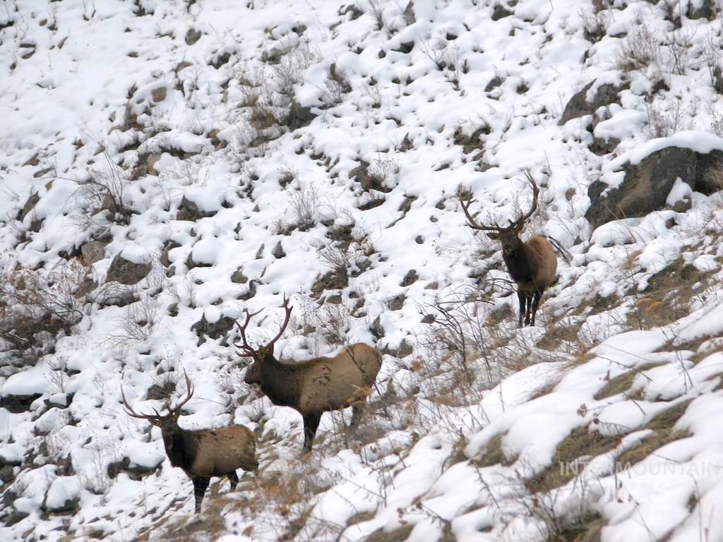 3869 Big Salmon River Rd, Riggins, Idaho 83549, 1 Bedroom, Farm & Ranch For Sale, Price $1,100,000, 98941259