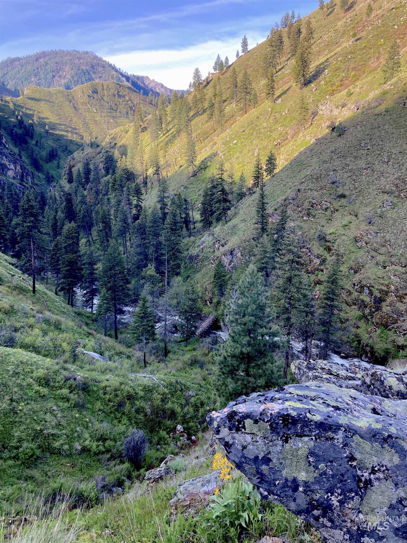 3869 Big Salmon River Rd, Riggins, Idaho 83549, 1 Bedroom, Farm & Ranch For Sale, Price $1,100,000, 98941259