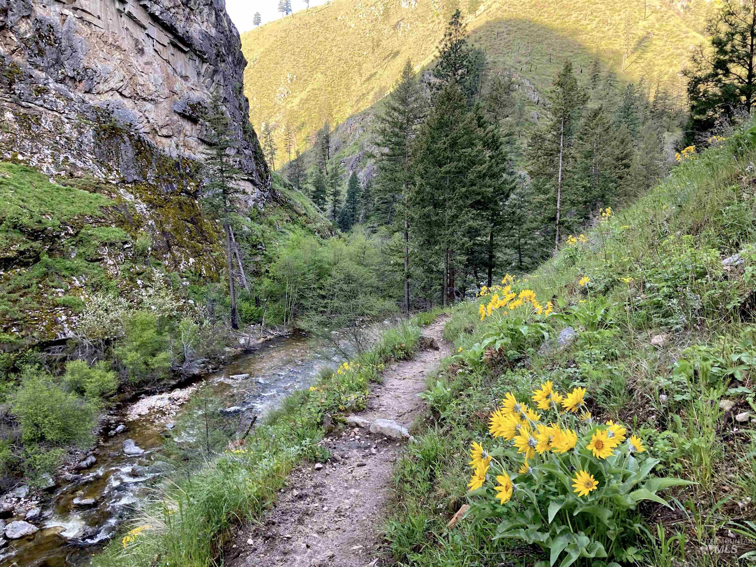 3869 Big Salmon River Rd, Riggins, Idaho 83549, 1 Bedroom, Farm & Ranch For Sale, Price $1,100,000, 98941259