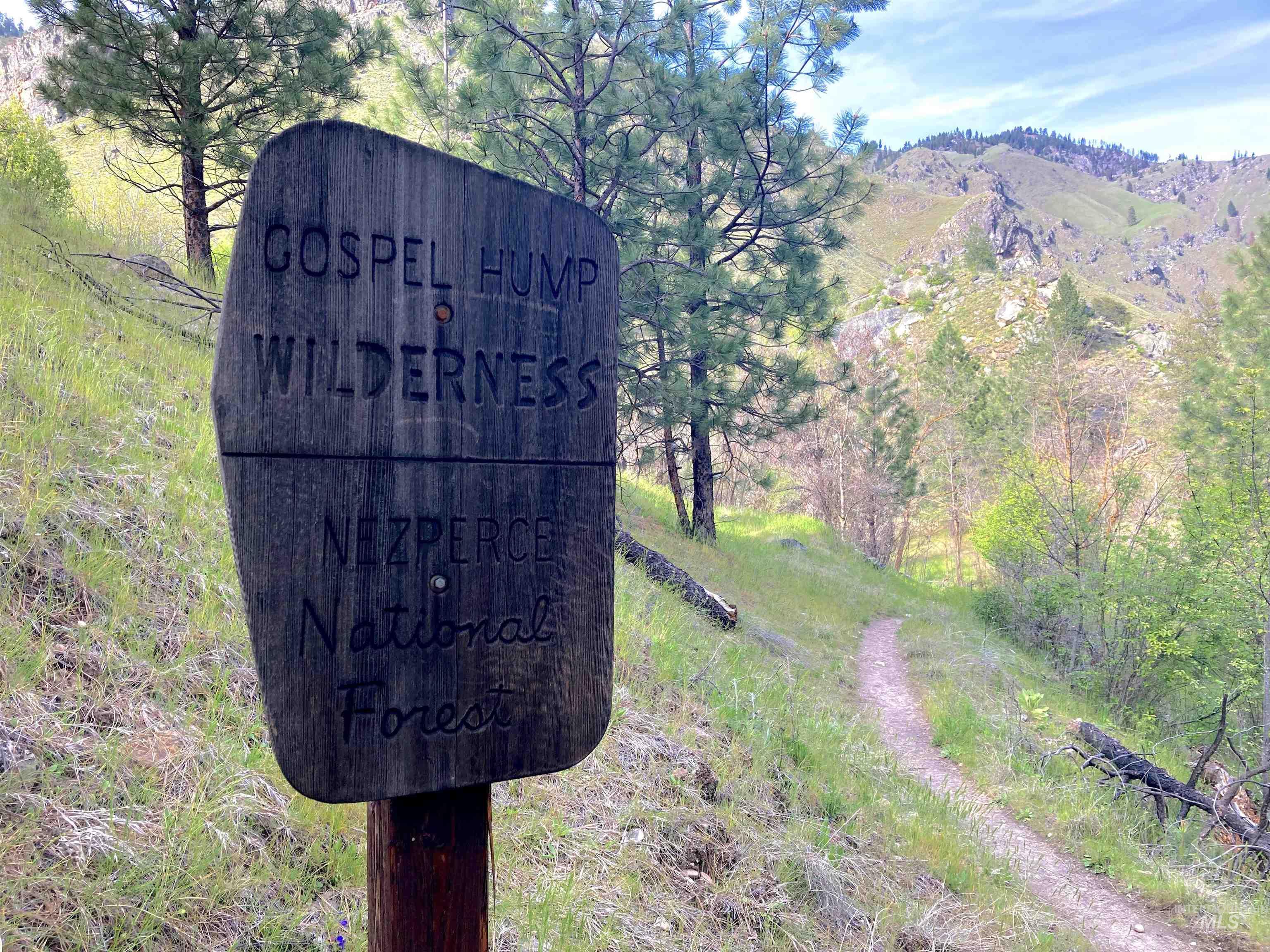 3869 Big Salmon River Rd, Riggins, Idaho 83549, 1 Bedroom, Farm & Ranch For Sale, Price $1,100,000, 98941259