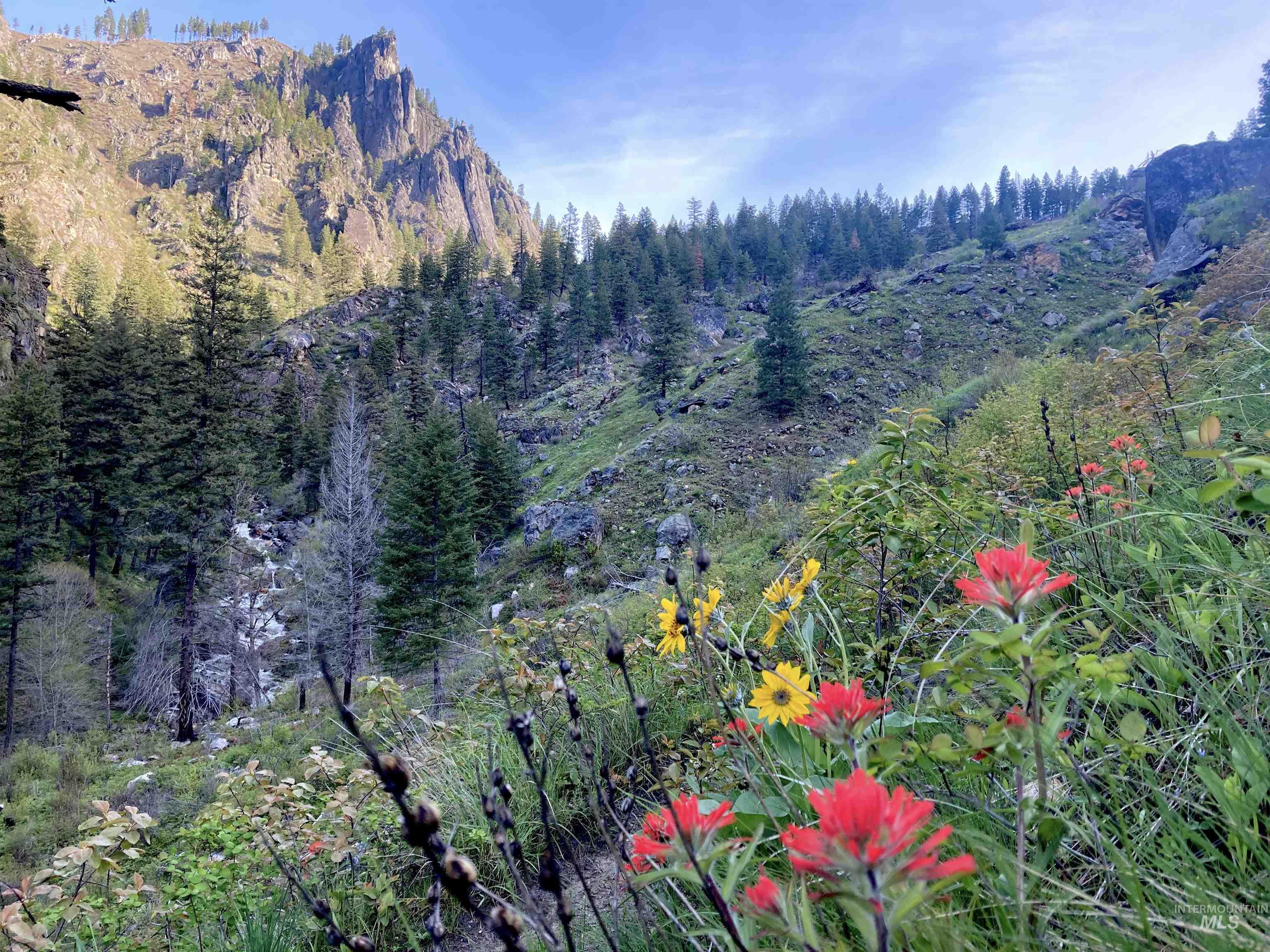 3869 Big Salmon River Rd, Riggins, Idaho 83549, 1 Bedroom, Farm & Ranch For Sale, Price $1,100,000, 98941259