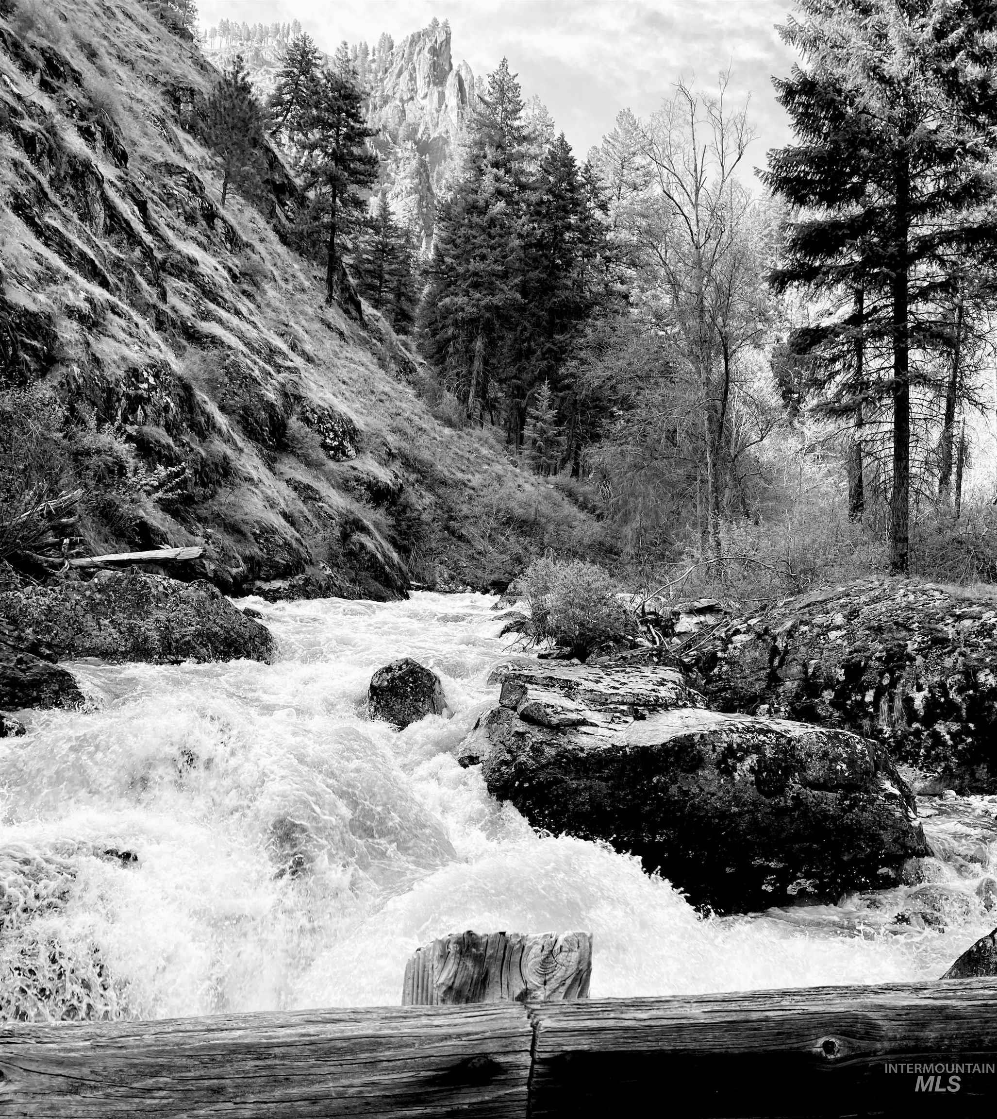 3869 Big Salmon River Rd, Riggins, Idaho 83549, 1 Bedroom, Farm & Ranch For Sale, Price $1,100,000, 98941259