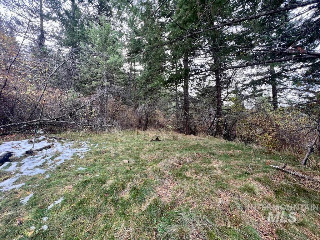 TBD Bouffard Flat Road, White Bird, Idaho 83554, Land For Sale, Price $35,000, 98941269