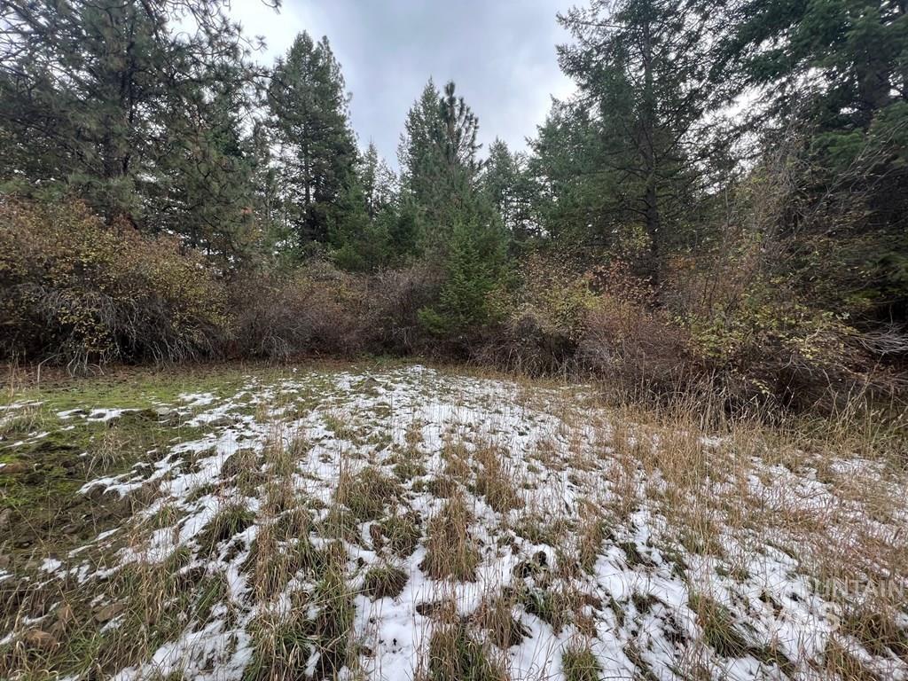 TBD Bouffard Flat Road, White Bird, Idaho 83554, Land For Sale, Price $35,000, 98941269