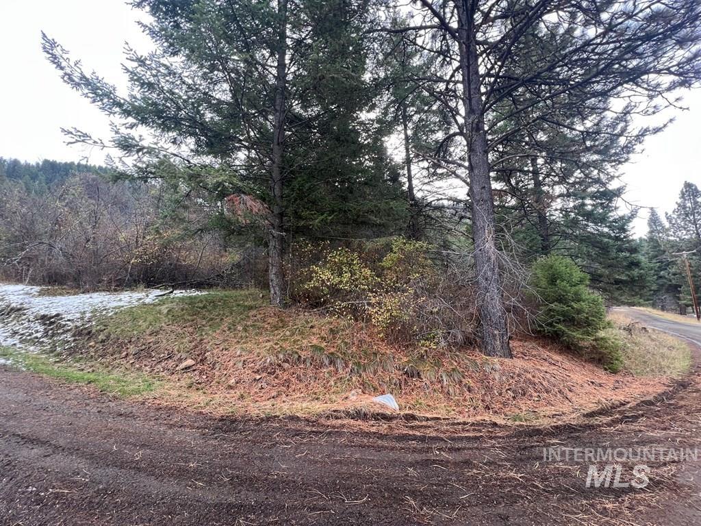 TBD Bouffard Flat Road, White Bird, Idaho 83554, Land For Sale, Price $35,000, 98941269