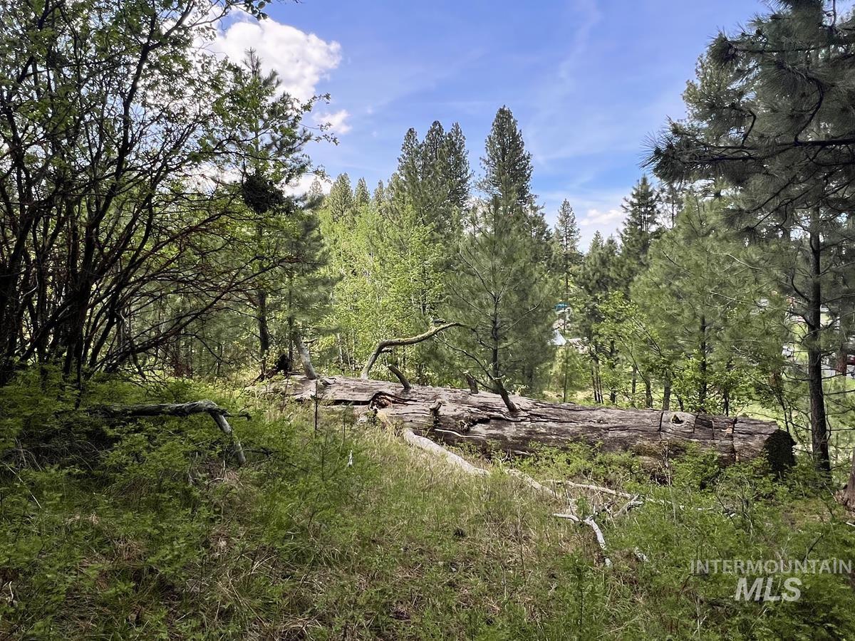 T75 LI Cabarton Road, Cascade, Idaho 83611, Land For Sale, Price $129,999, 98941304