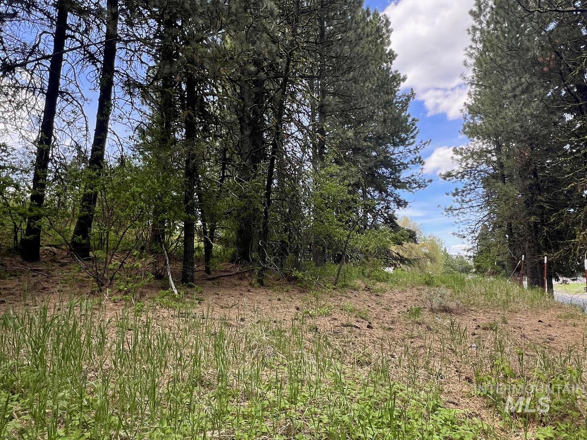 T75 LI Cabarton Road, Cascade, Idaho 83611, Land For Sale, Price $129,999, 98941304