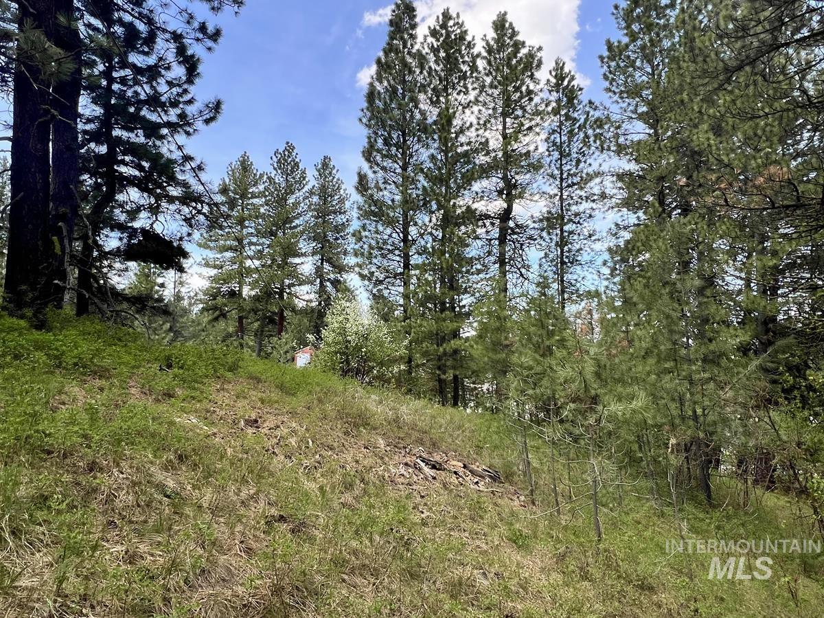 T75 LI Cabarton Road, Cascade, Idaho 83611, Land For Sale, Price $129,999, 98941304