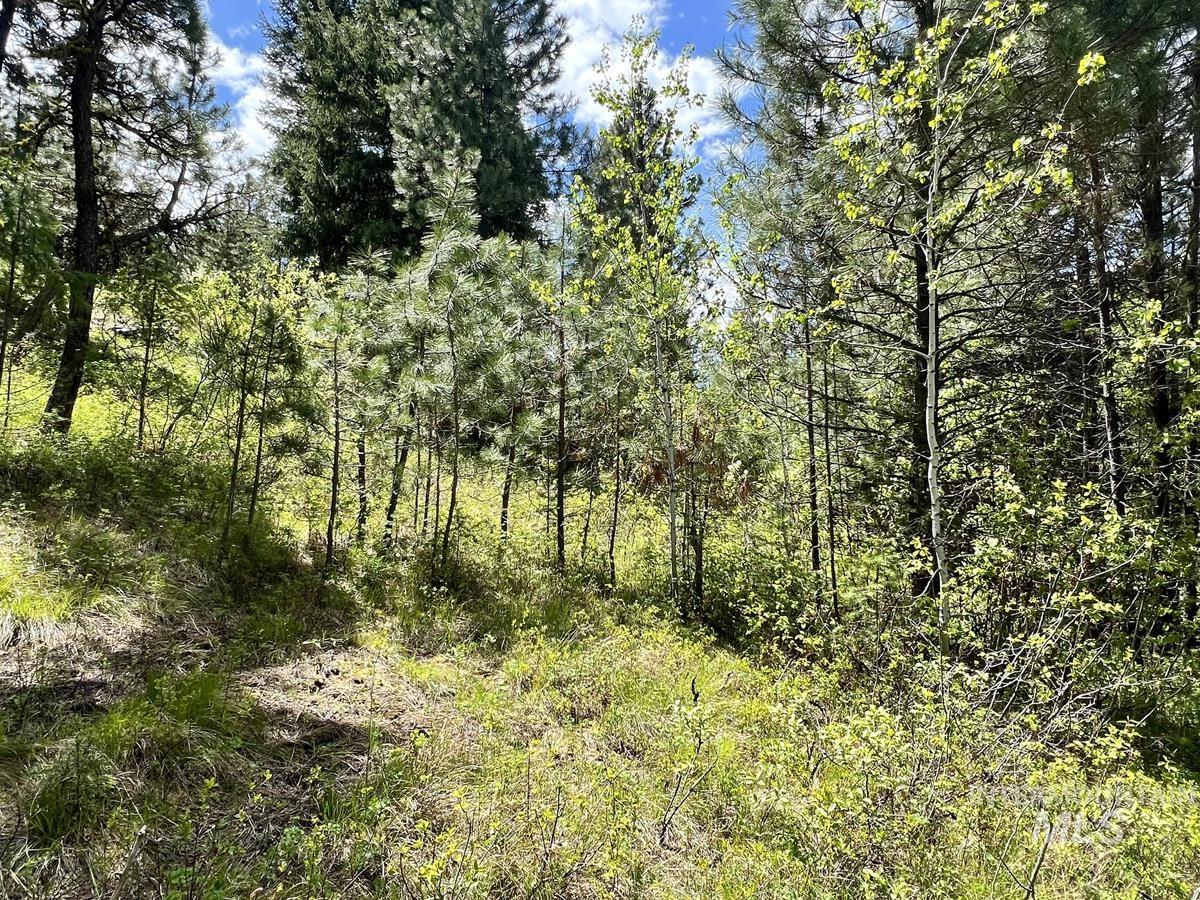 T75 LI Cabarton Road, Cascade, Idaho 83611, Land For Sale, Price $129,999, 98941304
