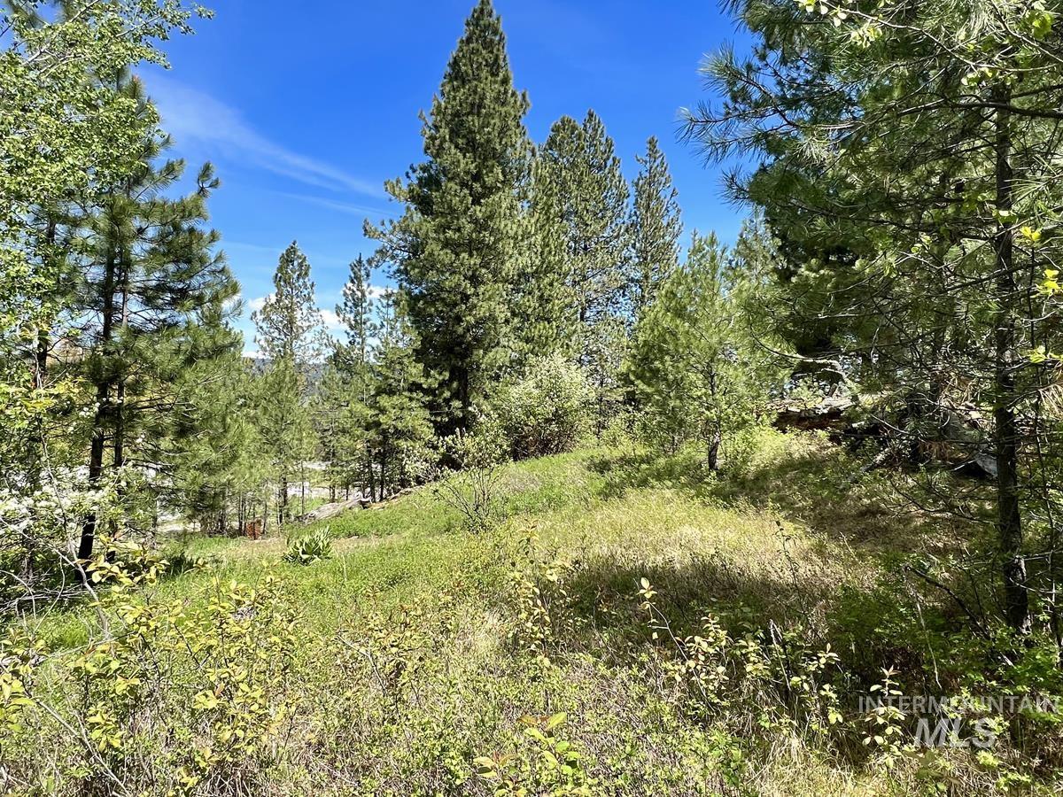 T75 LI Cabarton Road, Cascade, Idaho 83611, Land For Sale, Price $129,999, 98941304
