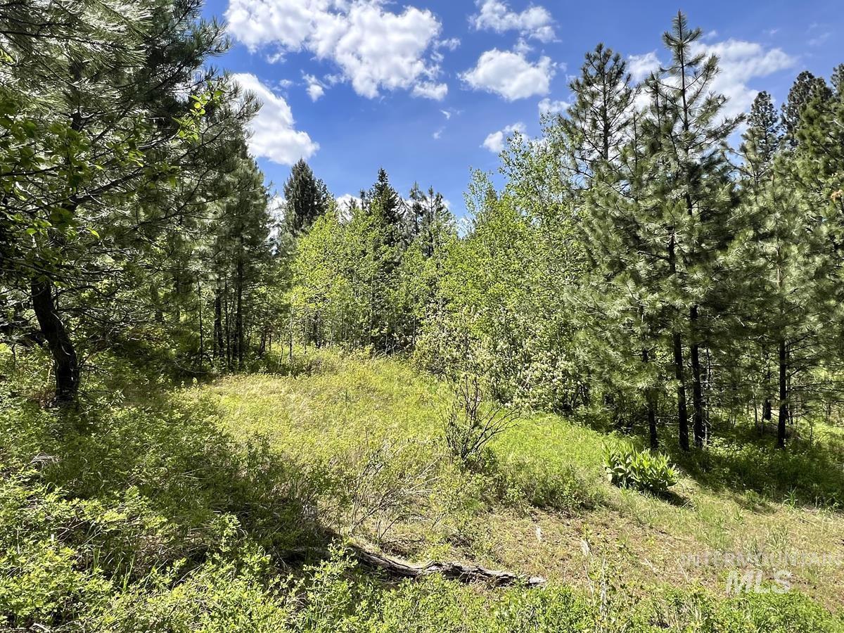 T75 LI Cabarton Road, Cascade, Idaho 83611, Land For Sale, Price $129,999, 98941304