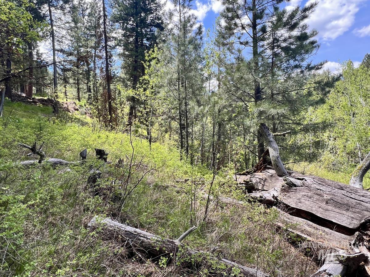 T75 LI Cabarton Road, Cascade, Idaho 83611, Land For Sale, Price $129,999, 98941304
