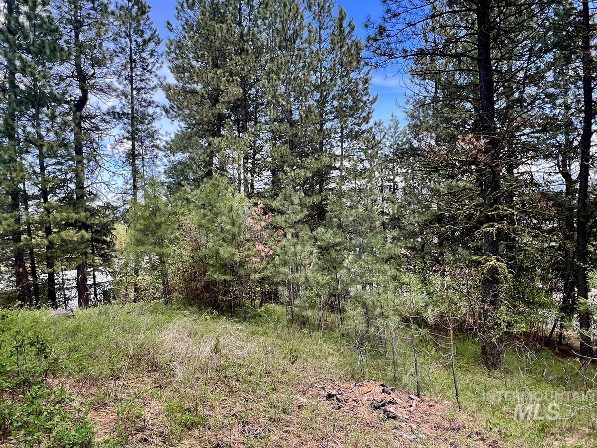 T75 LI Cabarton Road, Cascade, Idaho 83611, Land For Sale, Price $129,999, 98941304
