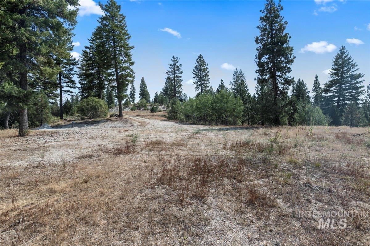 100 Coit Drive, Cascade, Idaho 83611, Land For Sale, Price $365,000, 98941305