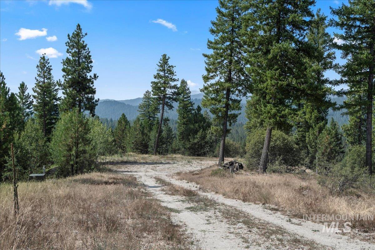 100 Coit Drive, Cascade, Idaho 83611, Land For Sale, Price $365,000, 98941305