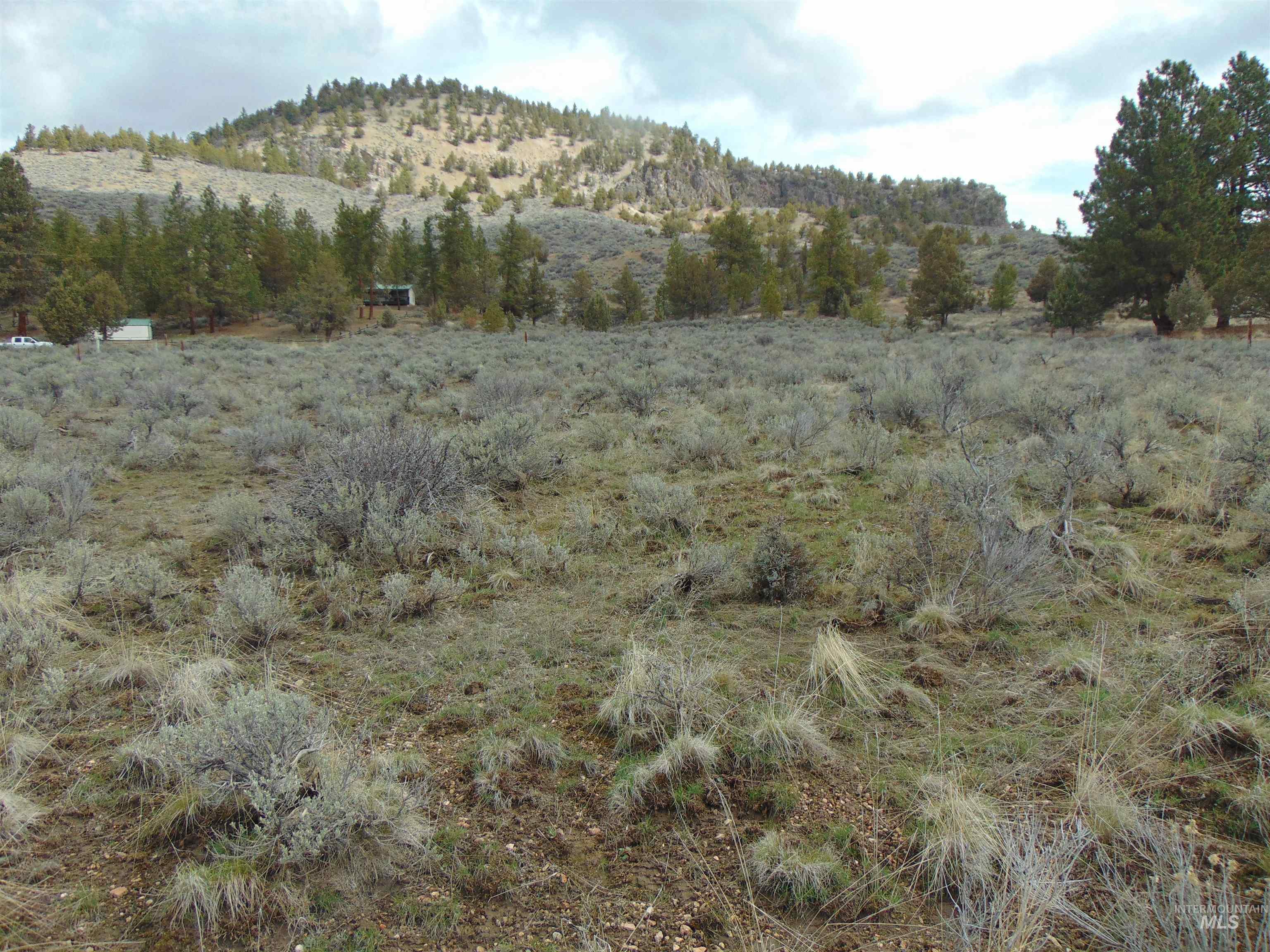 TBD Rattlesnake Ln., Unity, Oregon 97884, Land For Sale, Price $115,000, 98941357