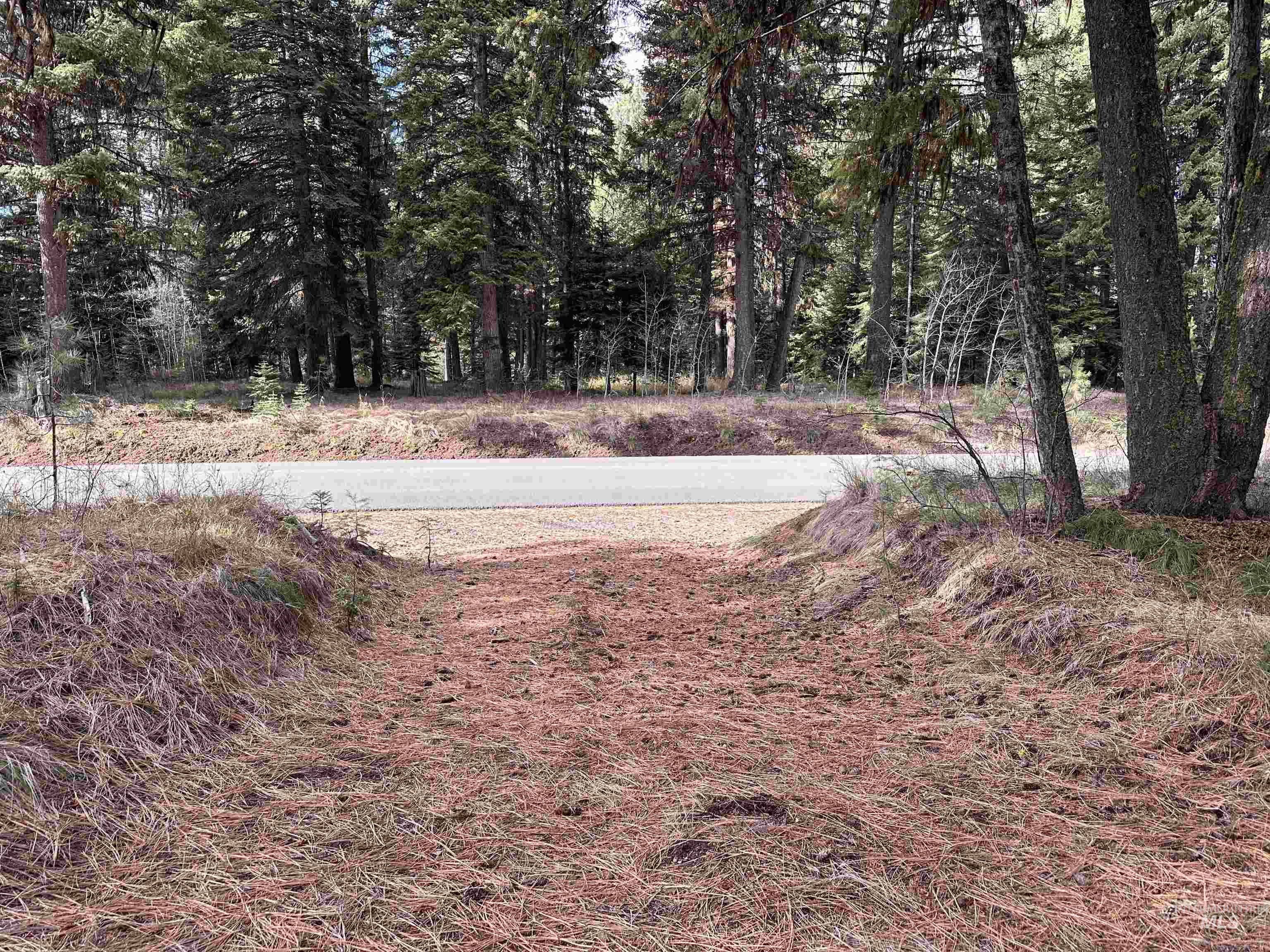 320 Black Hawk LN., McCall, Idaho 83638, Land For Sale, Price $420,000, 98941391
