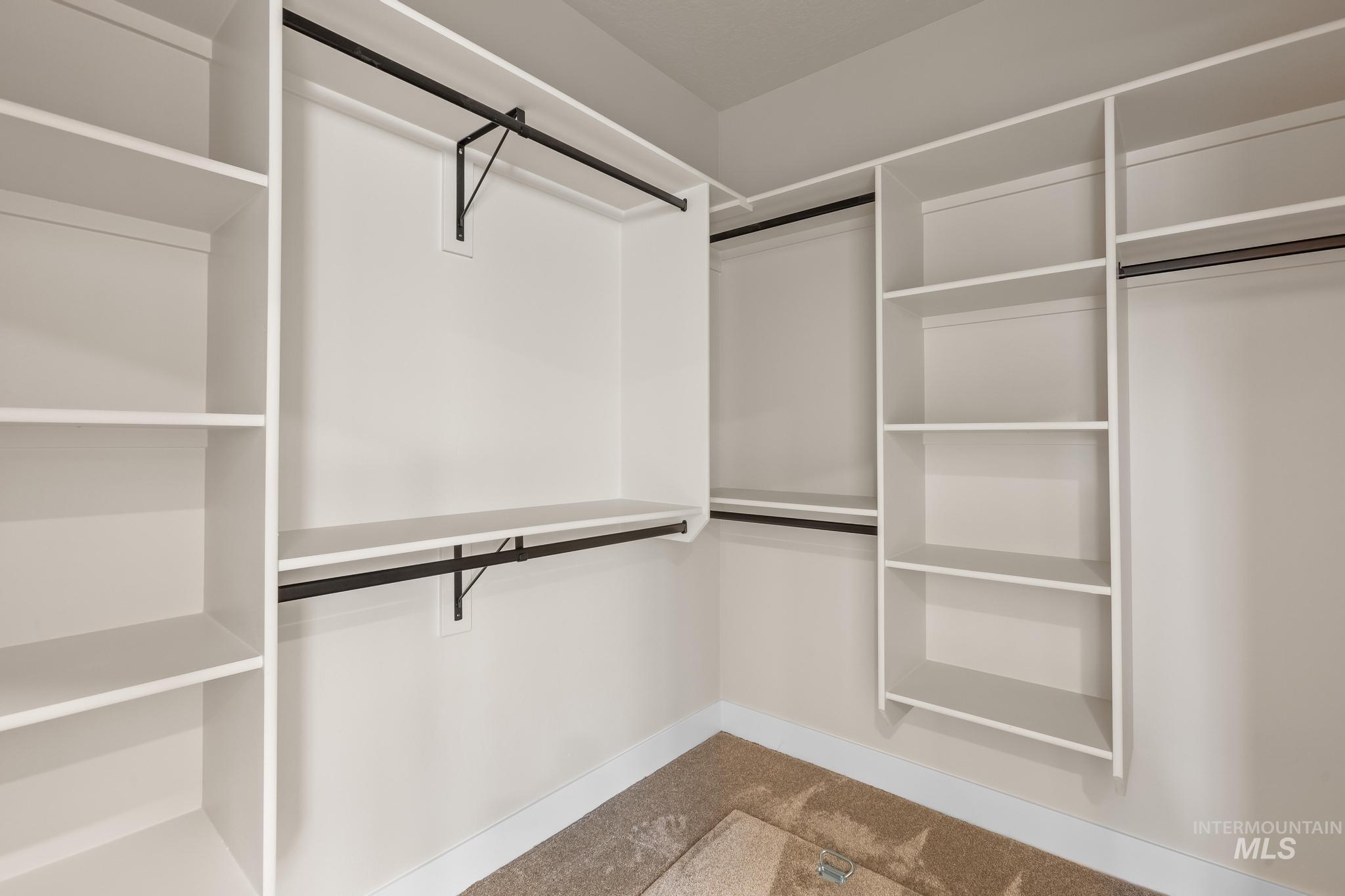 Walk in closet featuring carpet floors