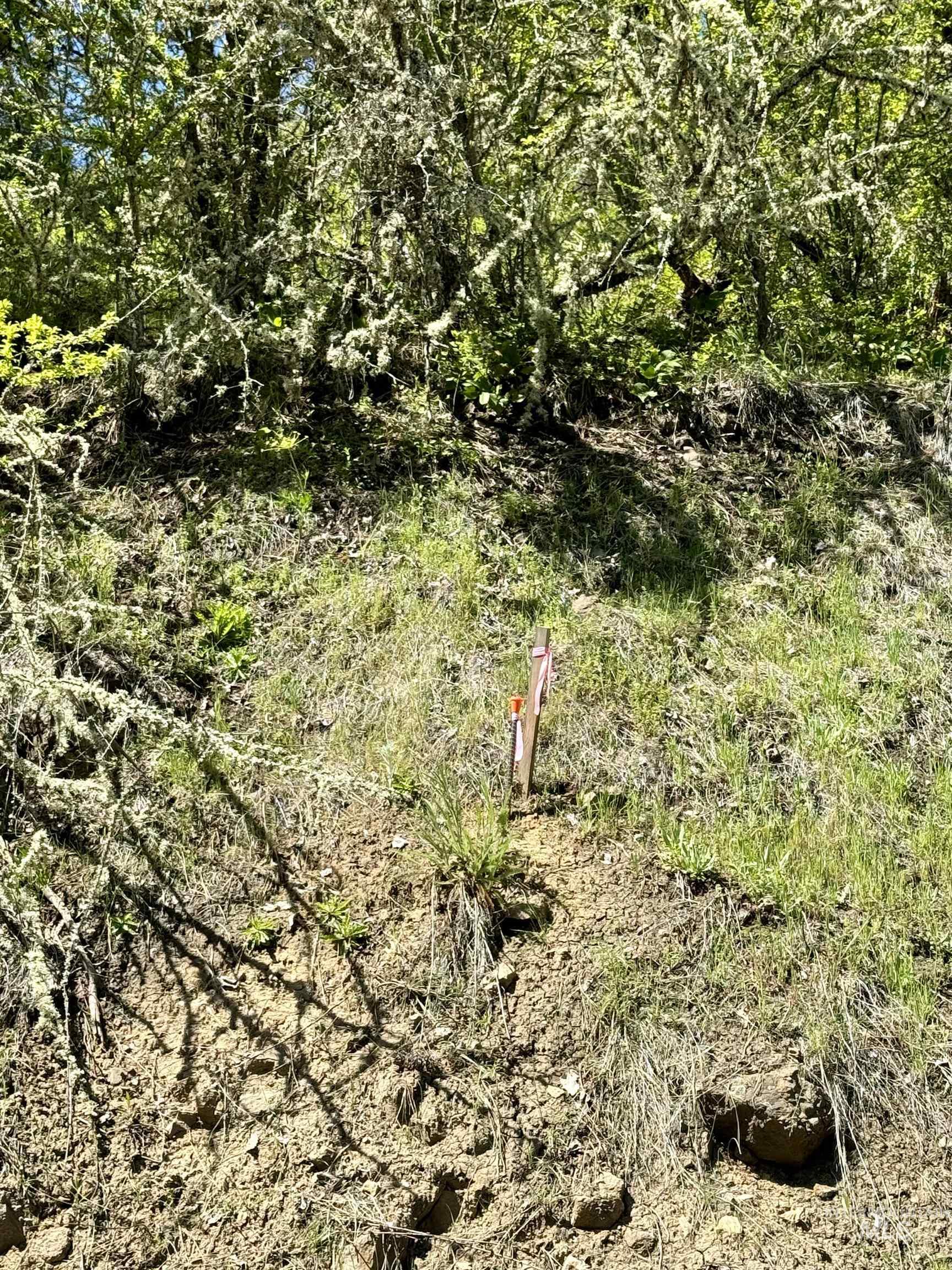 TBD (7AC) Lukes Gulch Rd, Stites, Idaho 83552, Land For Sale, Price $85,000, 98942483