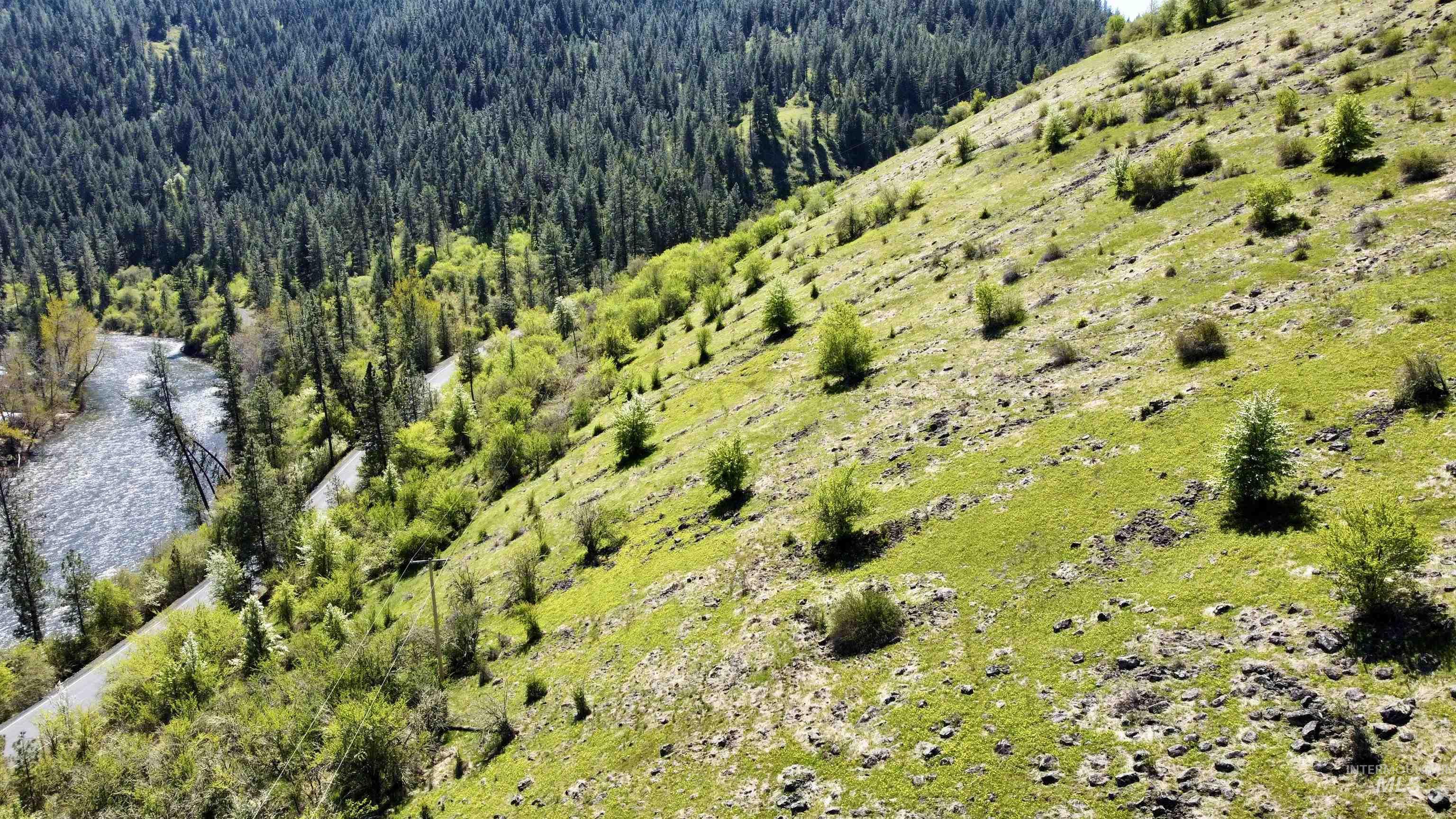 TBD (7AC) Lukes Gulch Rd, Stites, Idaho 83552, Land For Sale, Price $85,000, 98942483