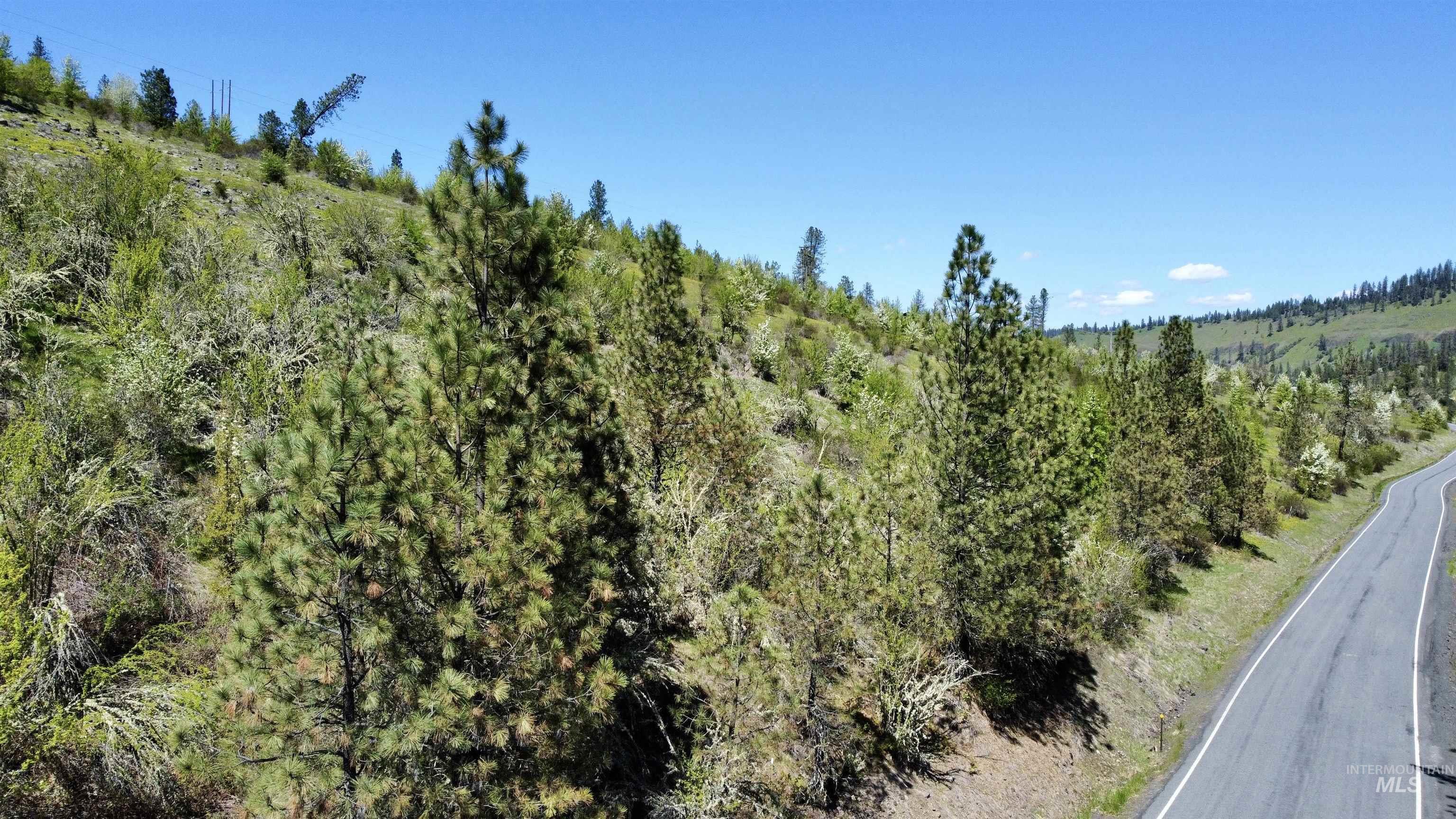TBD (7AC) Lukes Gulch Rd, Stites, Idaho 83552, Land For Sale, Price $85,000, 98942483