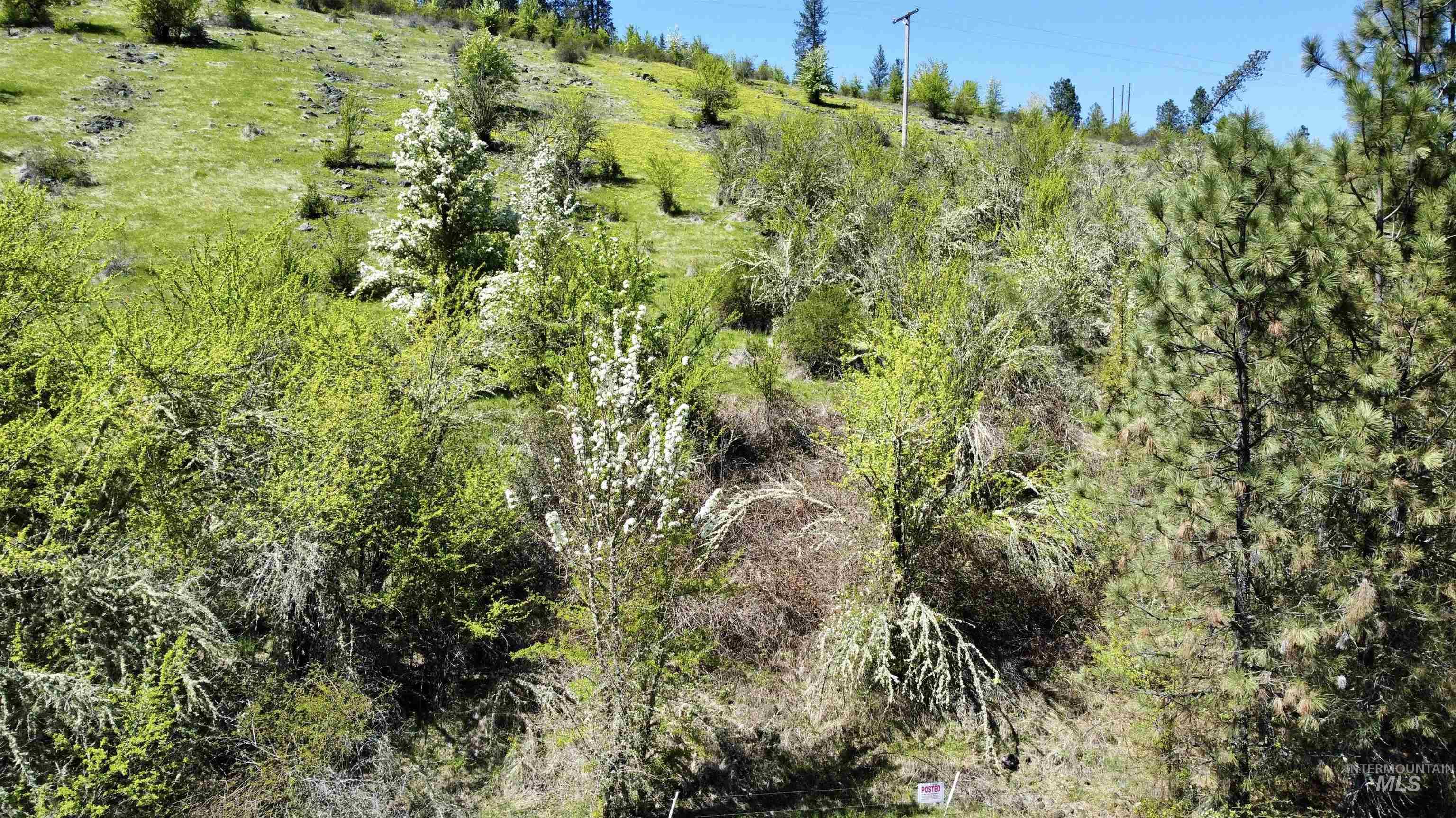 TBD (7AC) Lukes Gulch Rd, Stites, Idaho 83552, Land For Sale, Price $85,000, 98942483