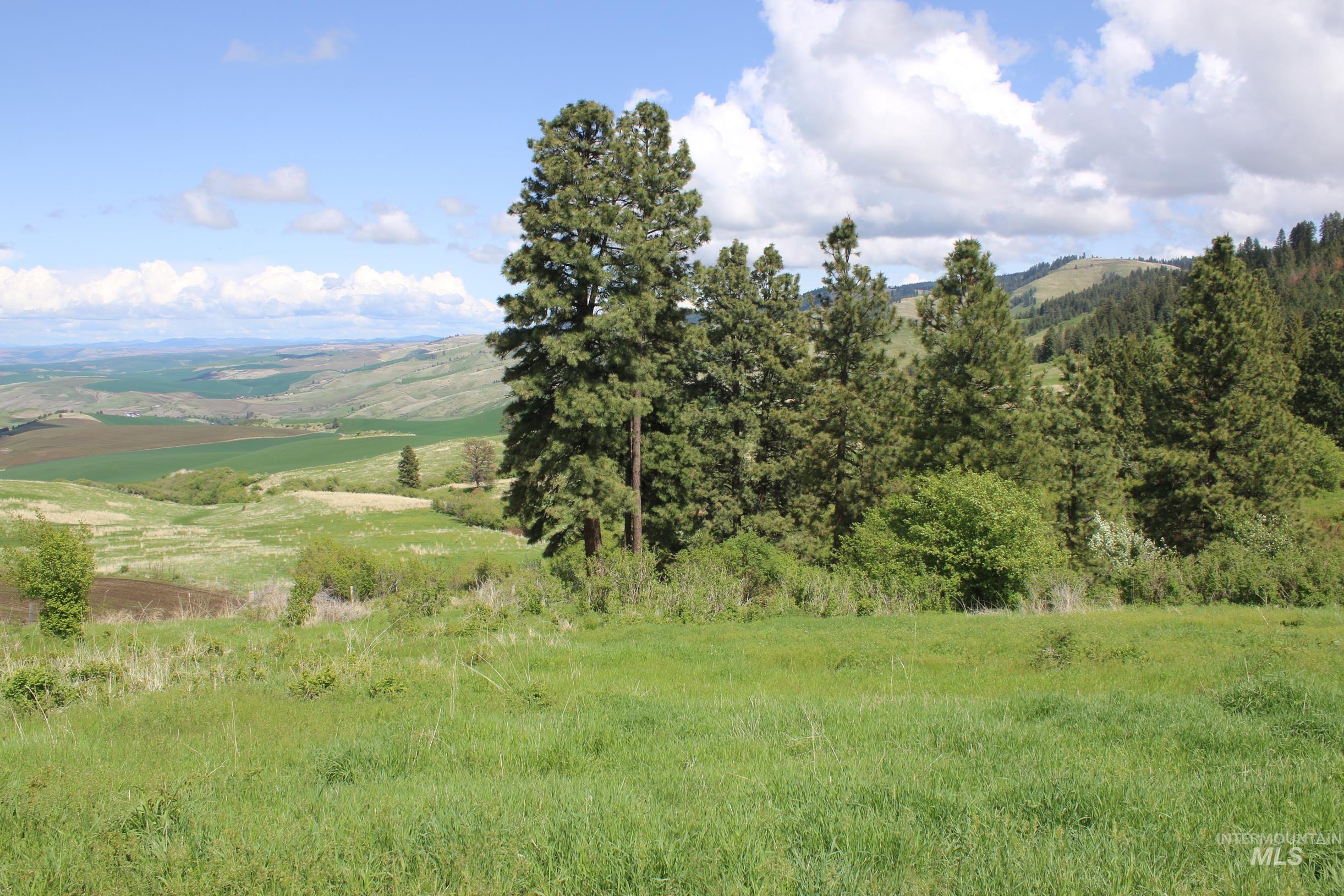 TBD Slickpoo Road, Culdesac, Idaho 83524, Farm & Ranch For Sale, Price $2,350,000, 98942913
