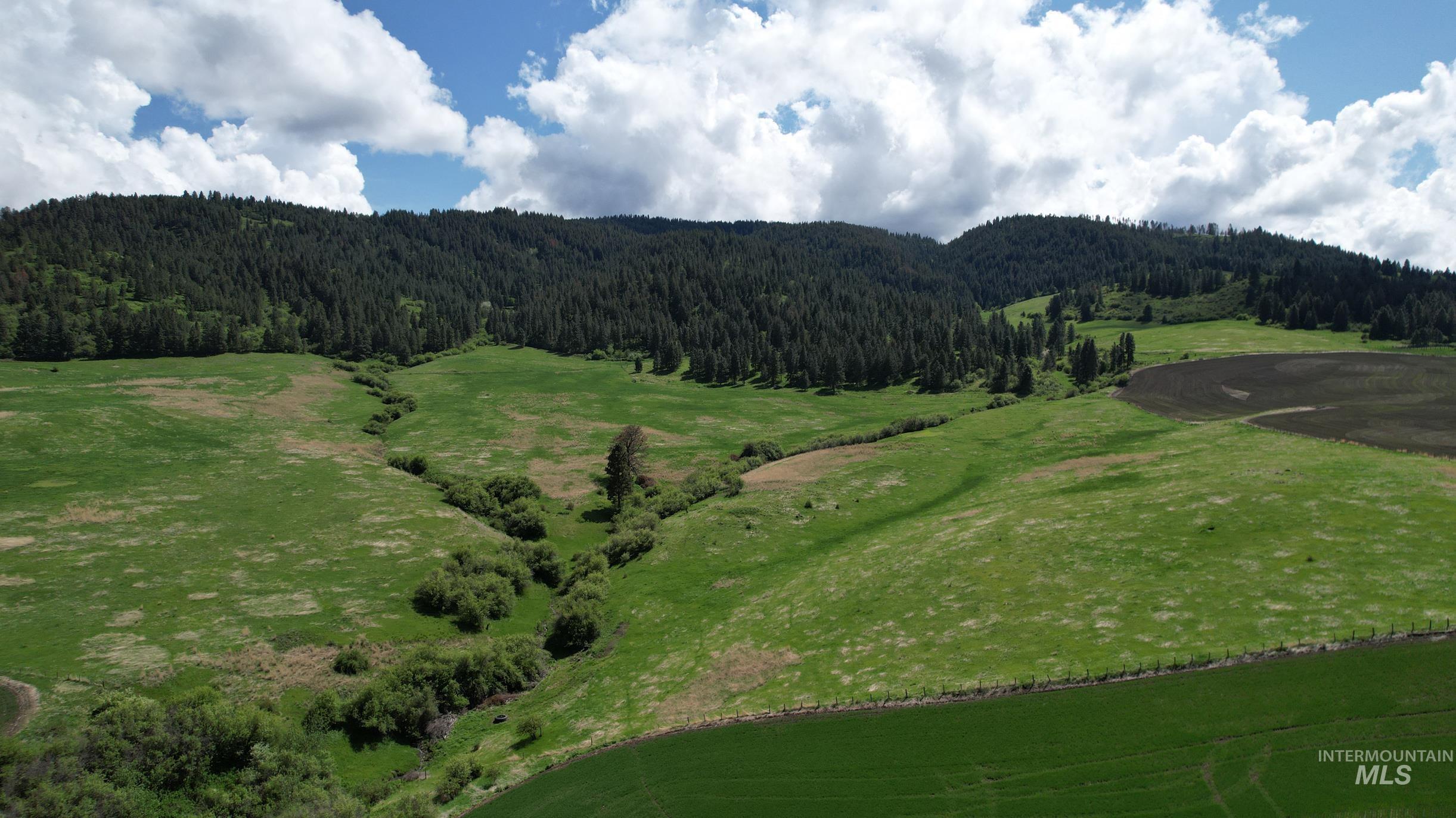 TBD Slickpoo Road, Culdesac, Idaho 83524, Farm & Ranch For Sale, Price $2,350,000, 98942913