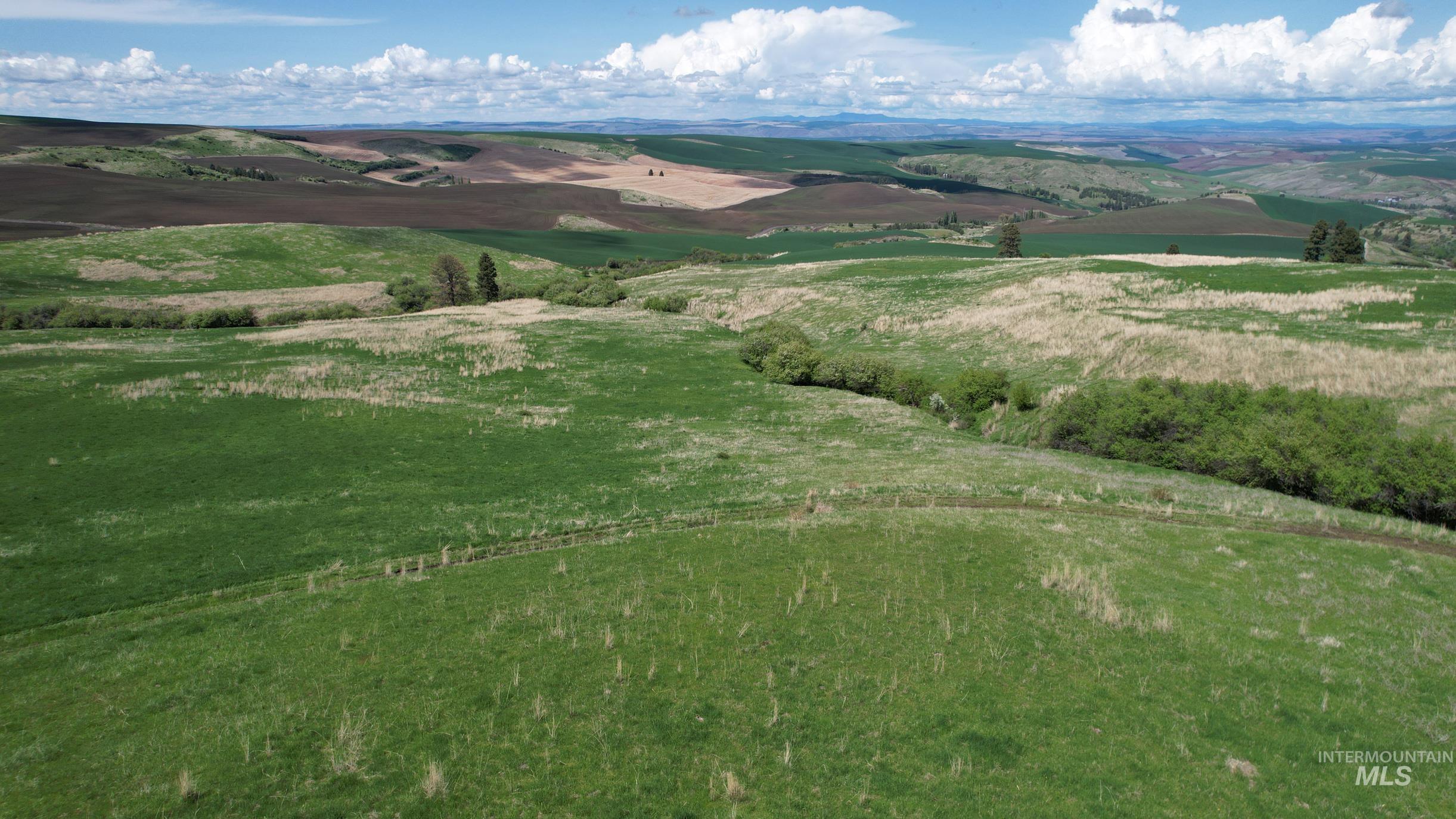 TBD Slickpoo Road, Culdesac, Idaho 83524, Farm & Ranch For Sale, Price $2,350,000, 98942913