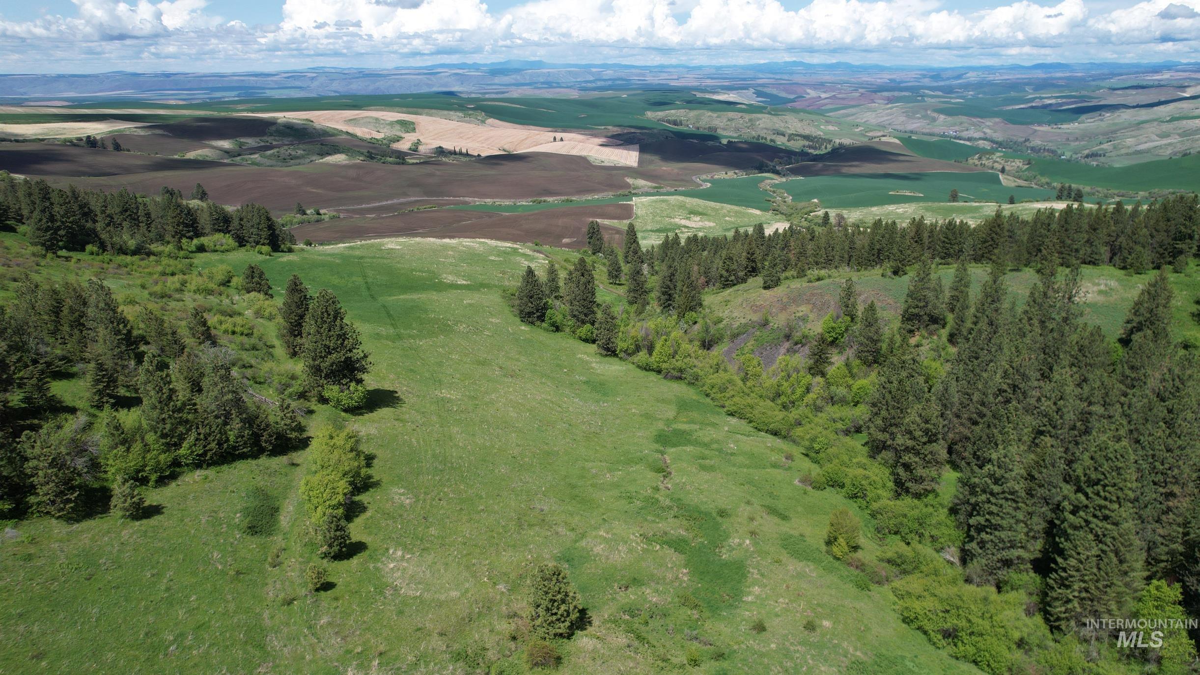 TBD Slickpoo Road, Culdesac, Idaho 83524, Farm & Ranch For Sale, Price $2,350,000, 98942913