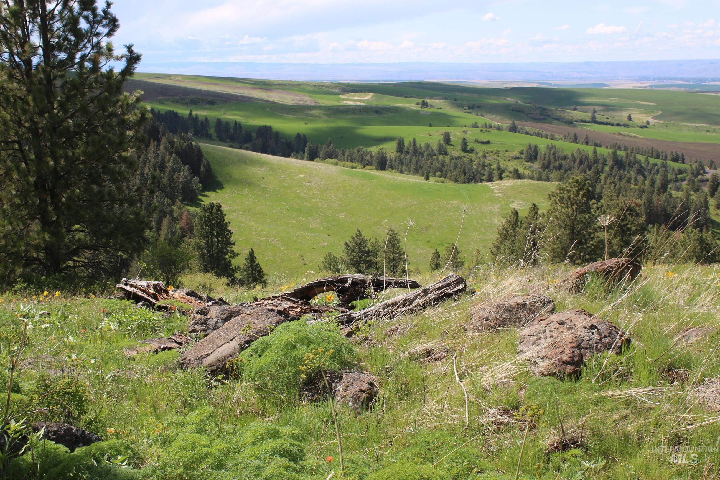 TBD Slickpoo Road, Culdesac, Idaho 83524, Farm & Ranch For Sale, Price $2,350,000, 98942913