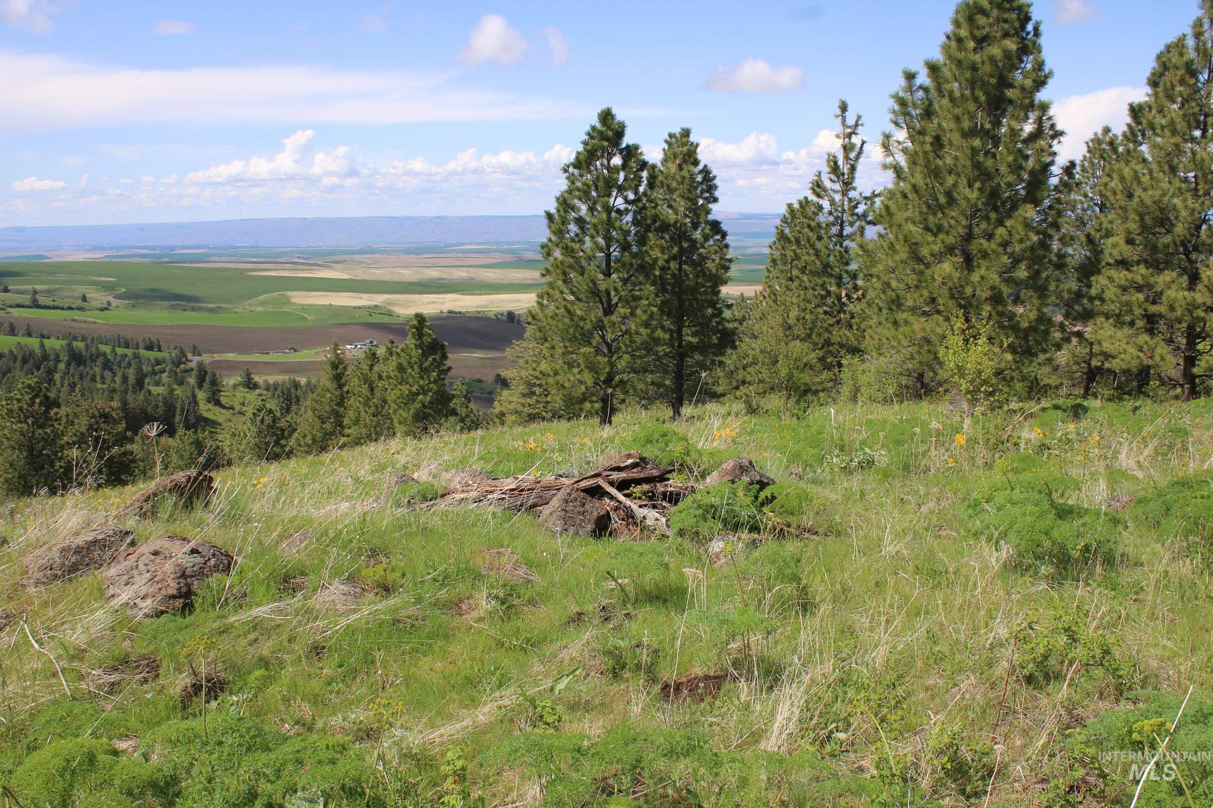 TBD Slickpoo Road, Culdesac, Idaho 83524, Farm & Ranch For Sale, Price $2,350,000, 98942913