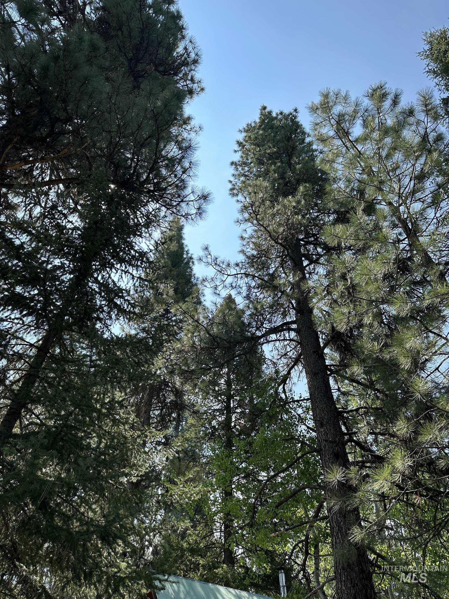 6 Willow Dr, Lowman, Idaho 83637, 3 Bedrooms, 1 Bathroom, Residential For Sale, Price $449,000, 98943062