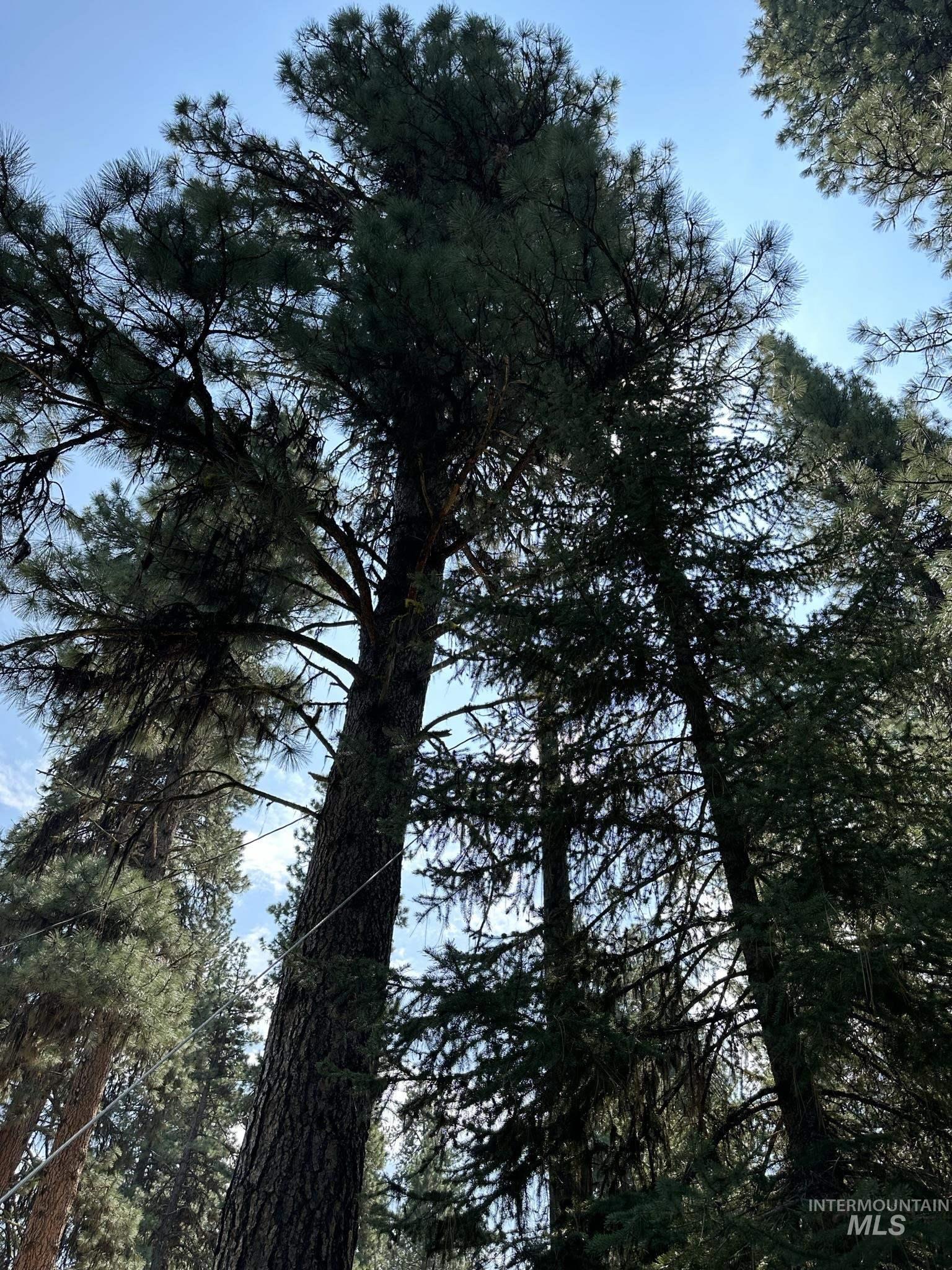 6 Willow Dr, Lowman, Idaho 83637, 3 Bedrooms, 1 Bathroom, Residential For Sale, Price $449,000, 98943062