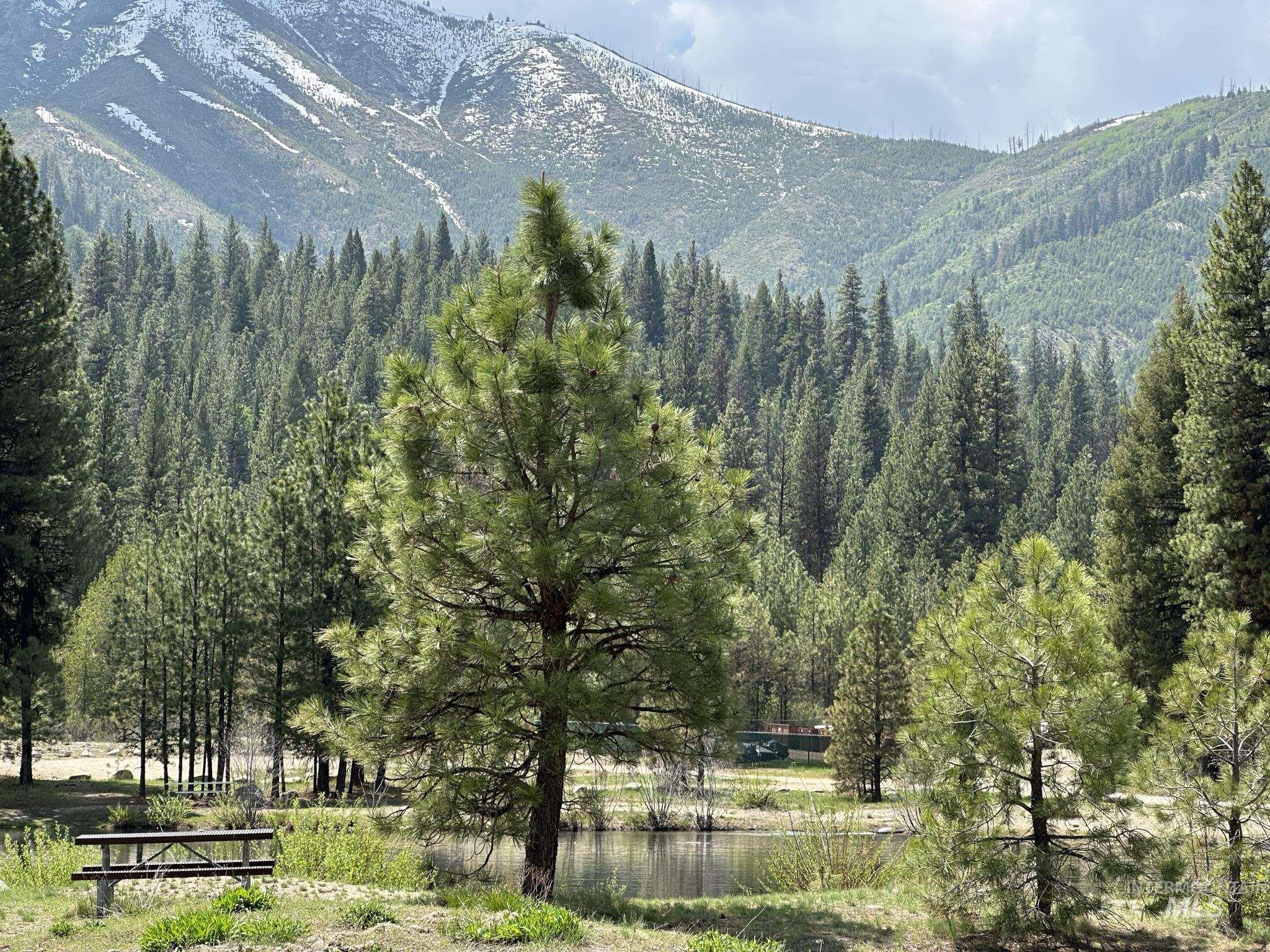 6 Willow Dr, Lowman, Idaho 83637, 3 Bedrooms, 1 Bathroom, Residential For Sale, Price $449,000, 98943062