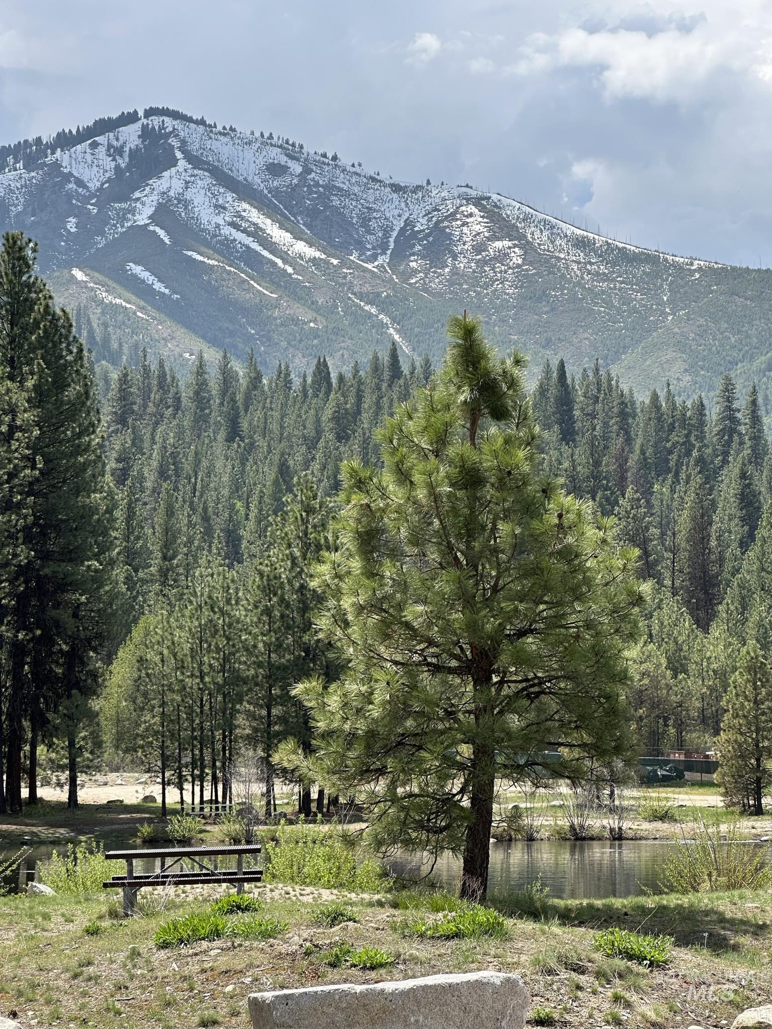 6 Willow Dr, Lowman, Idaho 83637, 3 Bedrooms, 1 Bathroom, Residential For Sale, Price $449,000, 98943062