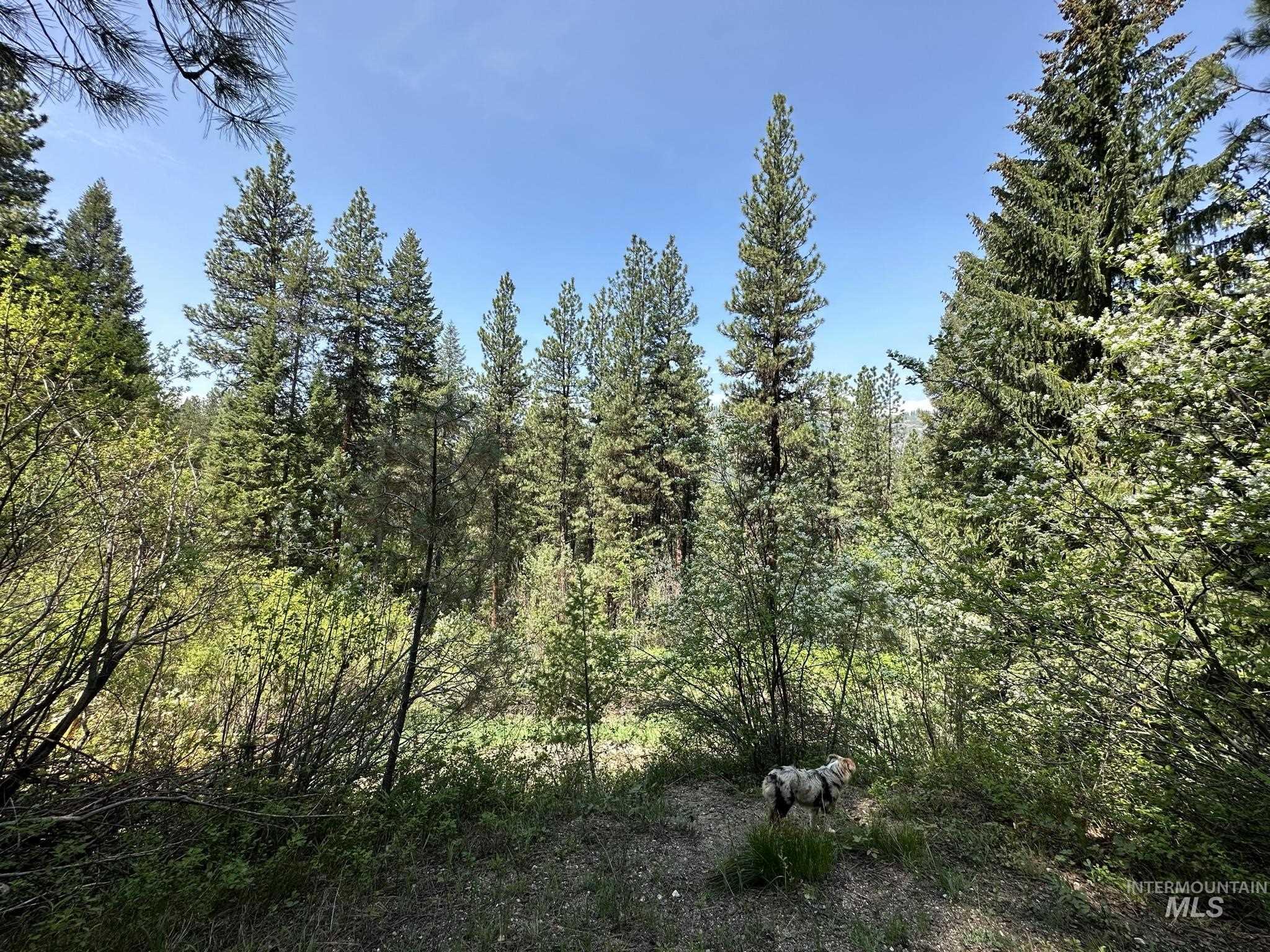 6 Willow Dr, Lowman, Idaho 83637, 3 Bedrooms, 1 Bathroom, Residential For Sale, Price $449,000, 98943062