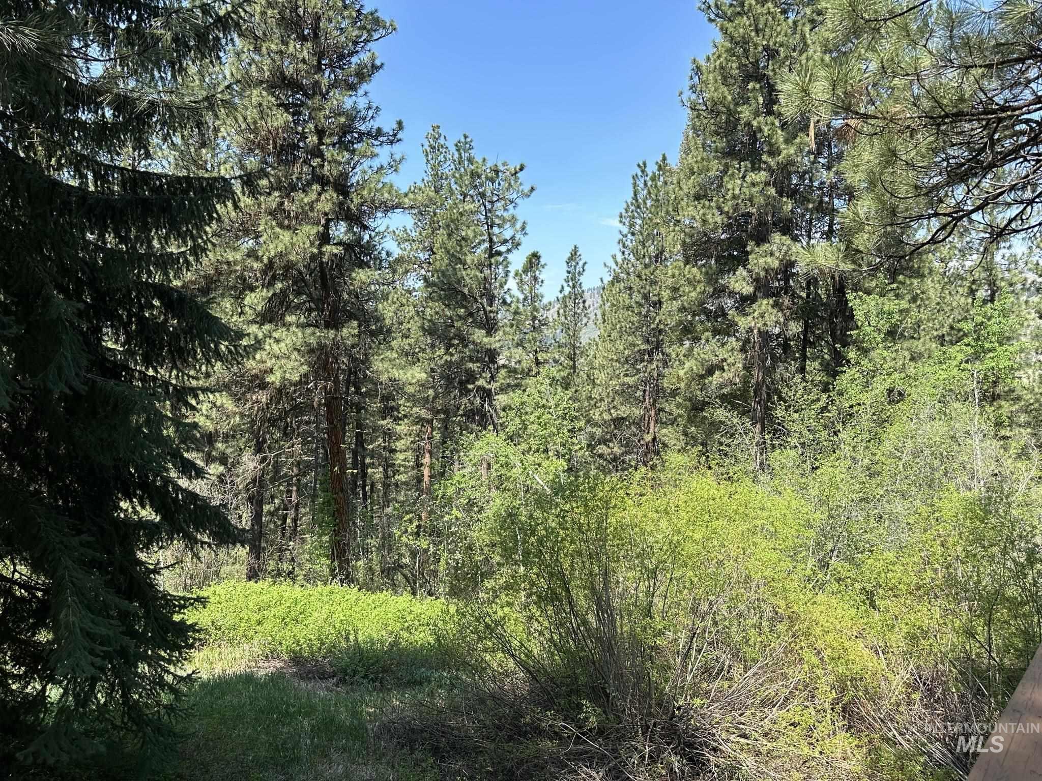 6 Willow Dr, Lowman, Idaho 83637, 3 Bedrooms, 1 Bathroom, Residential For Sale, Price $449,000, 98943062